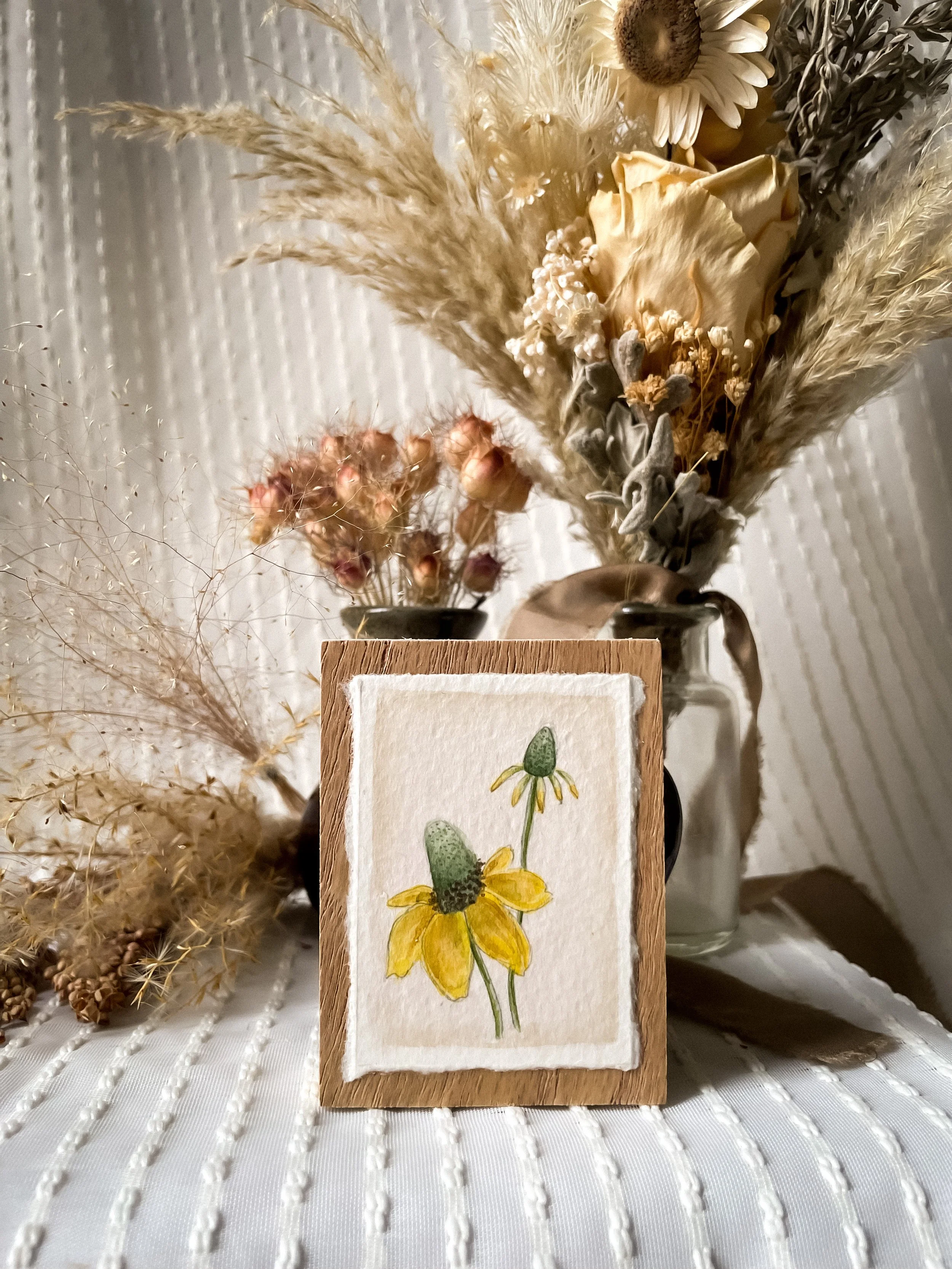 Yellow Coneflower-1.JPG