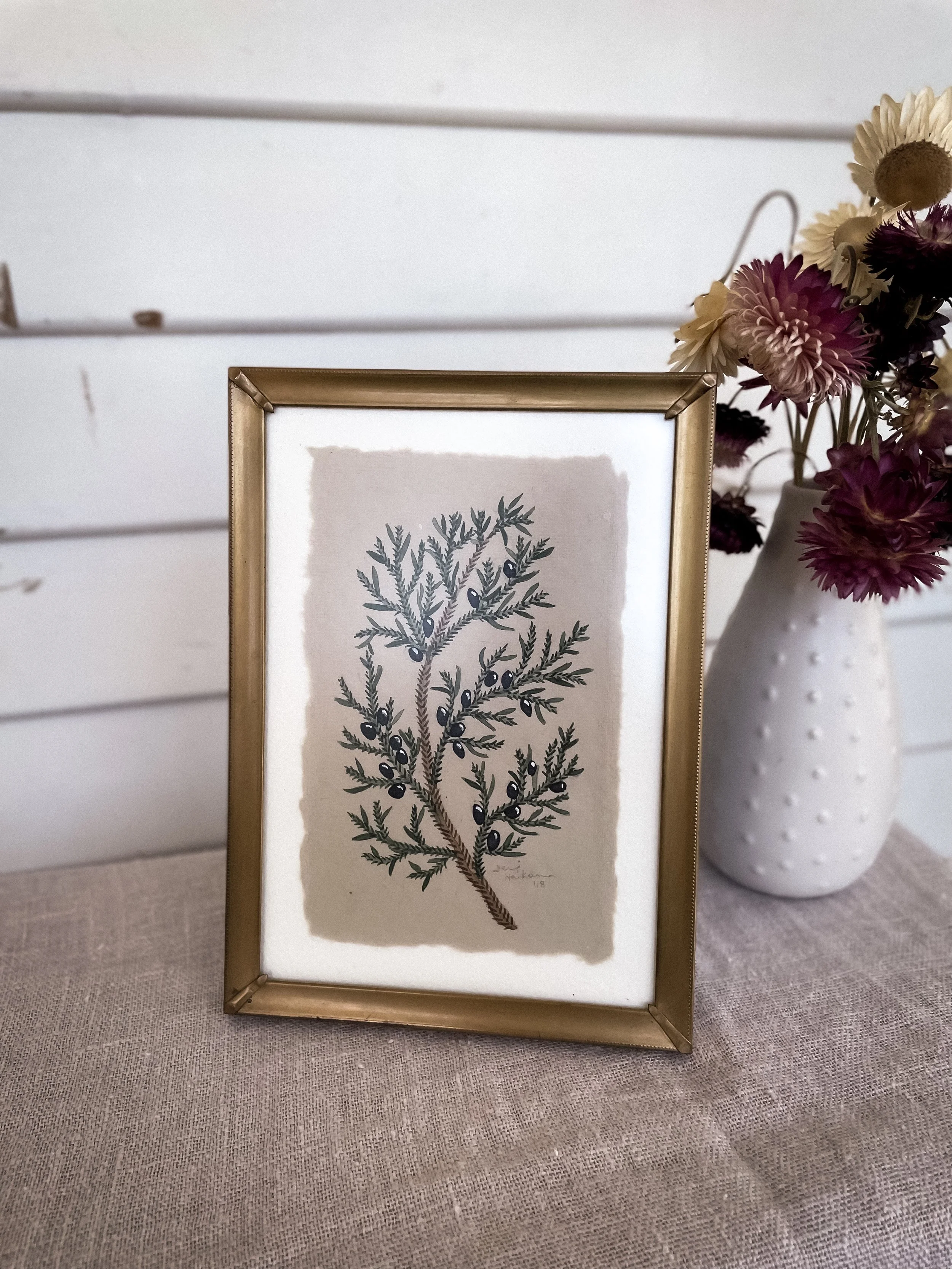 Juniper Study 6 by Jenni Haikonen.JPG