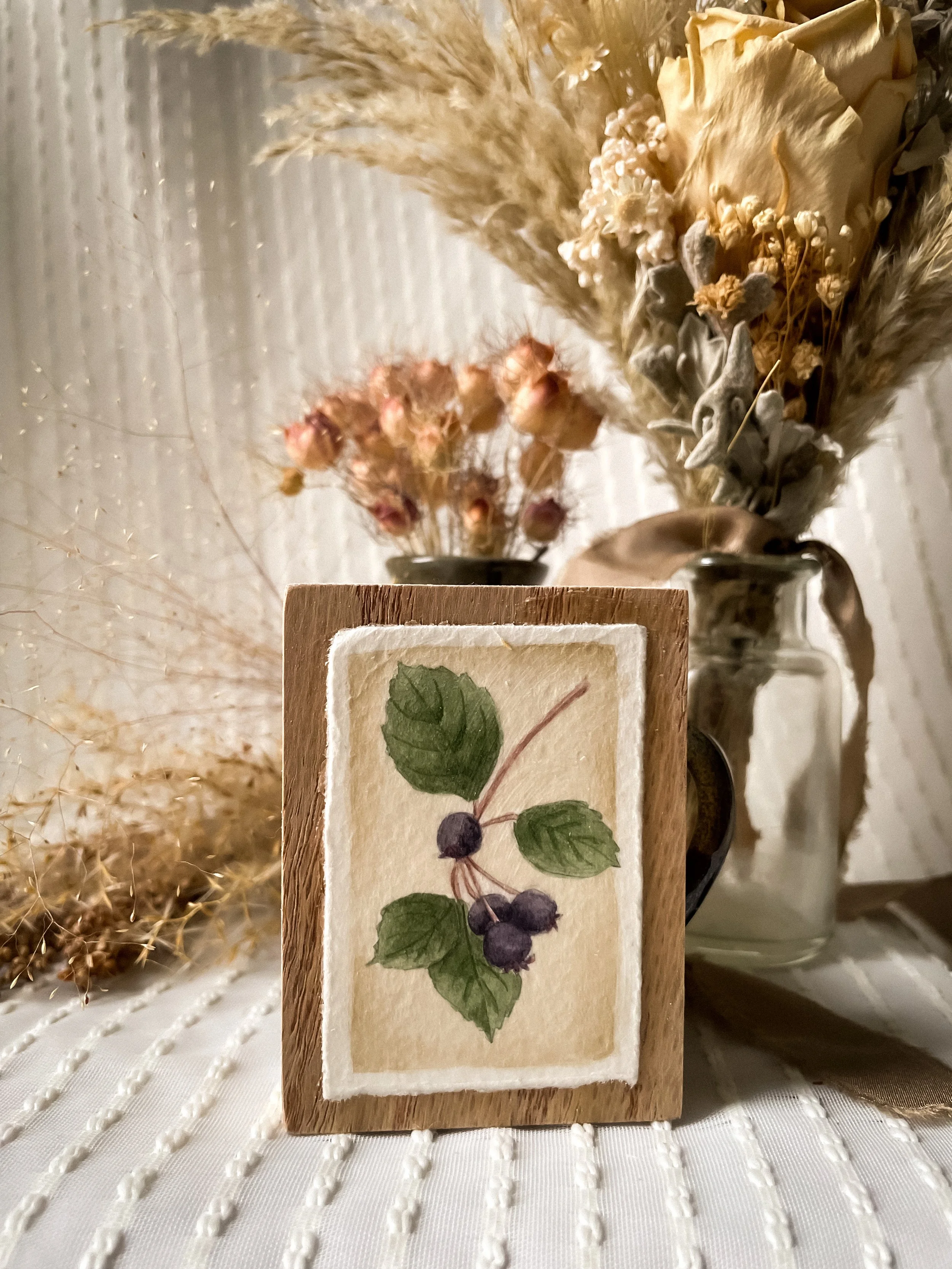 Saskatoon Berry-5.JPG