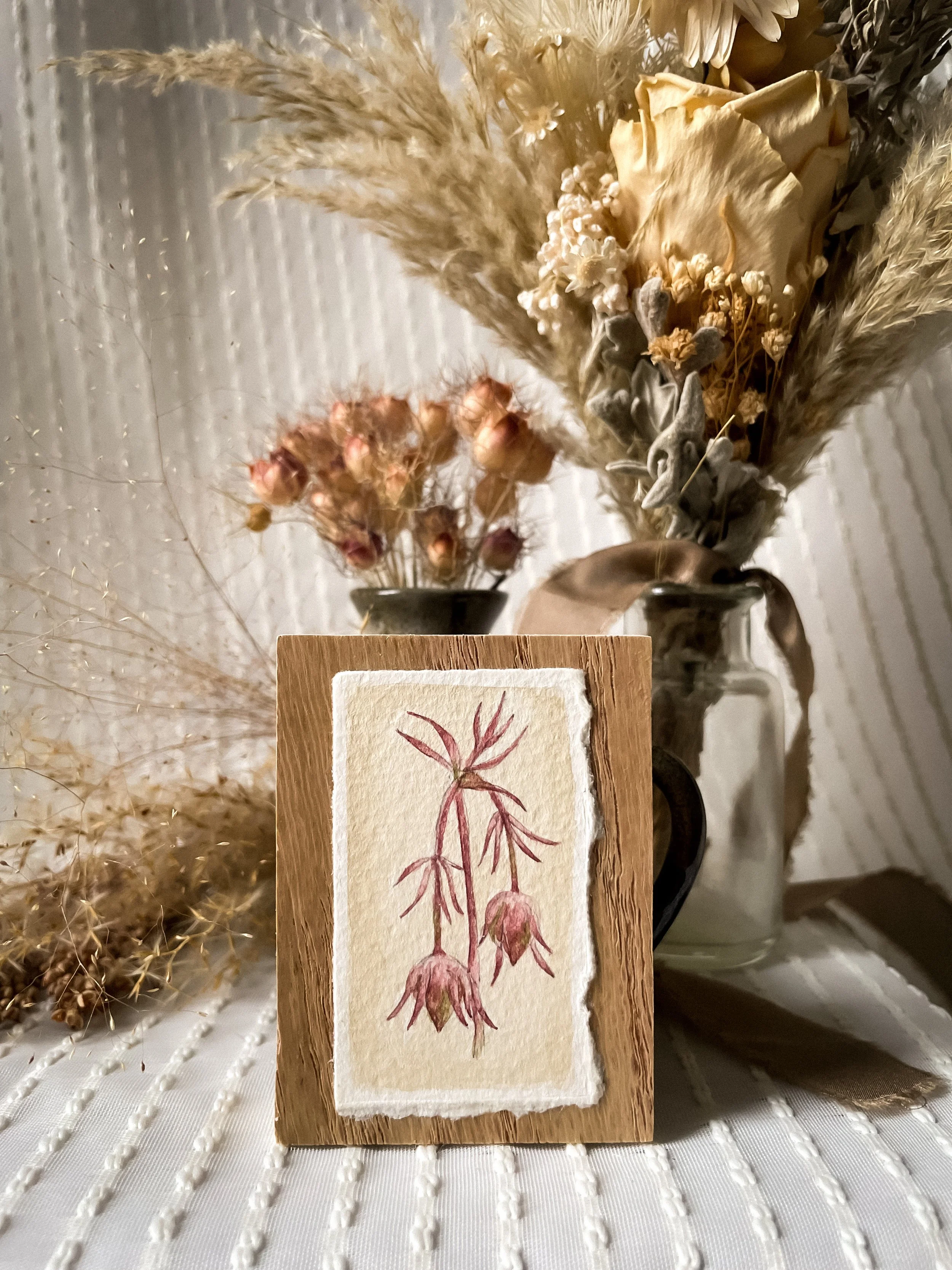 Three Flowered Avens-1.JPG