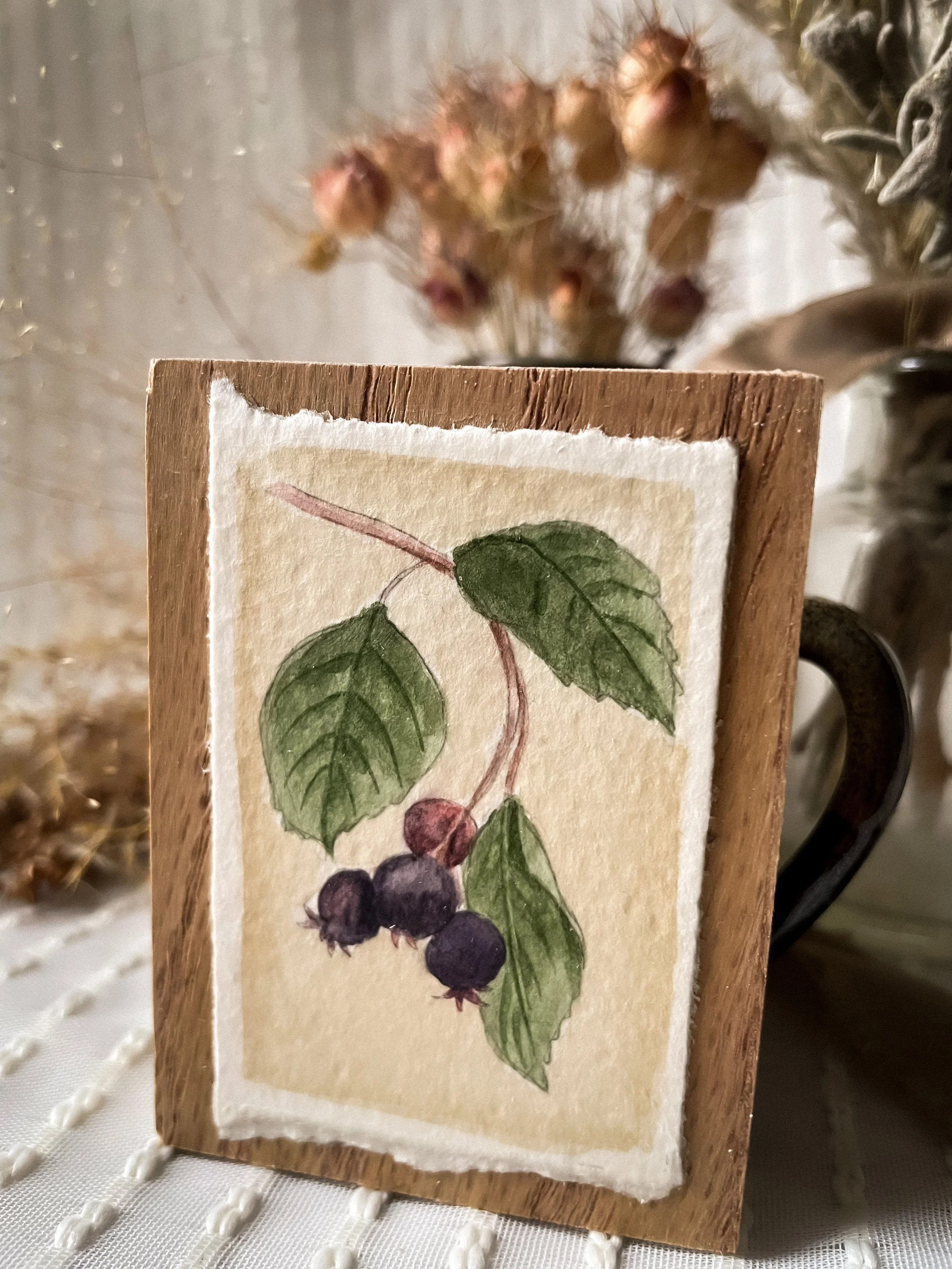 Saskatoon Berry-4.JPG