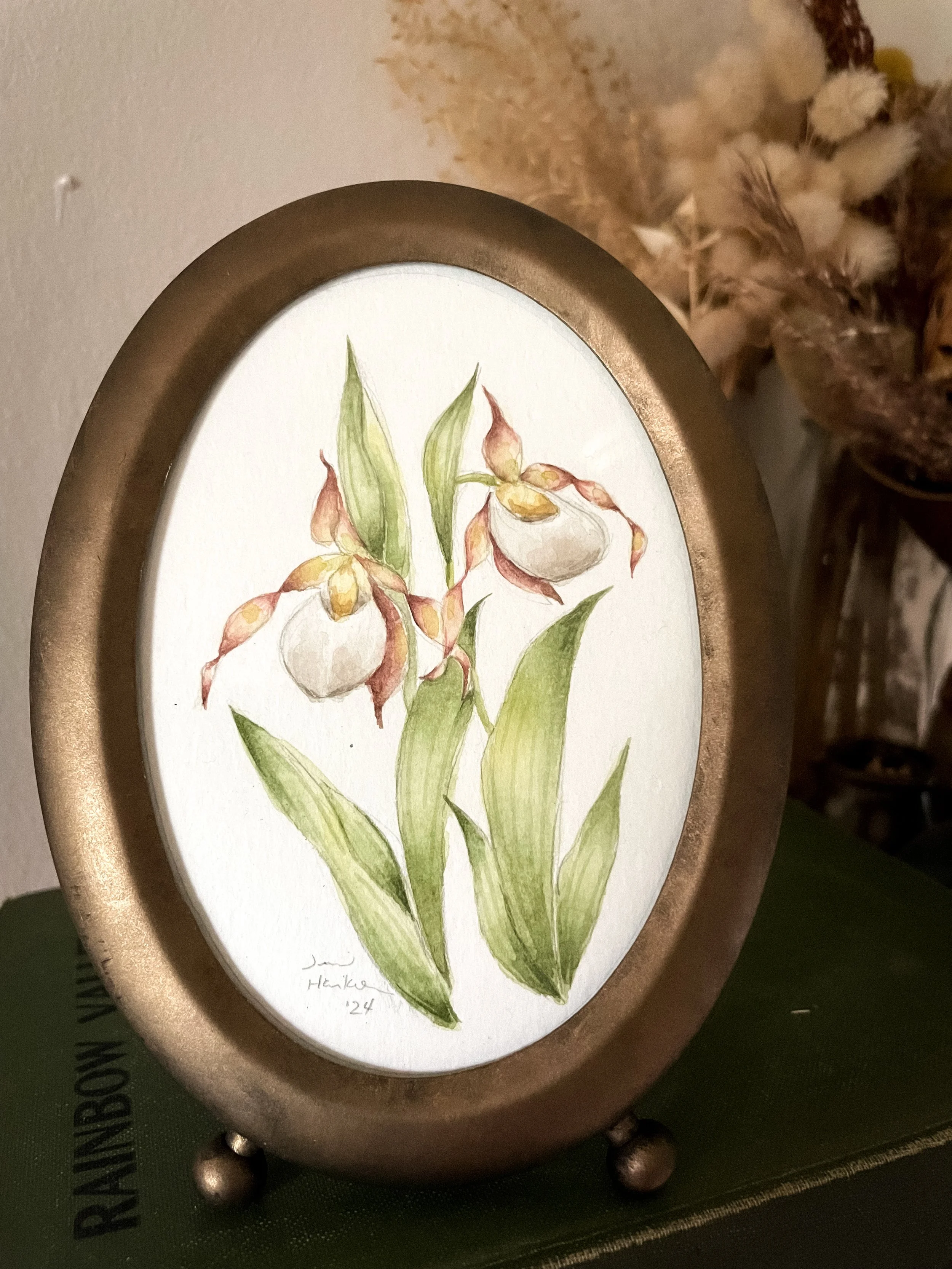 Small White Lady's Slipper III-2.JPG