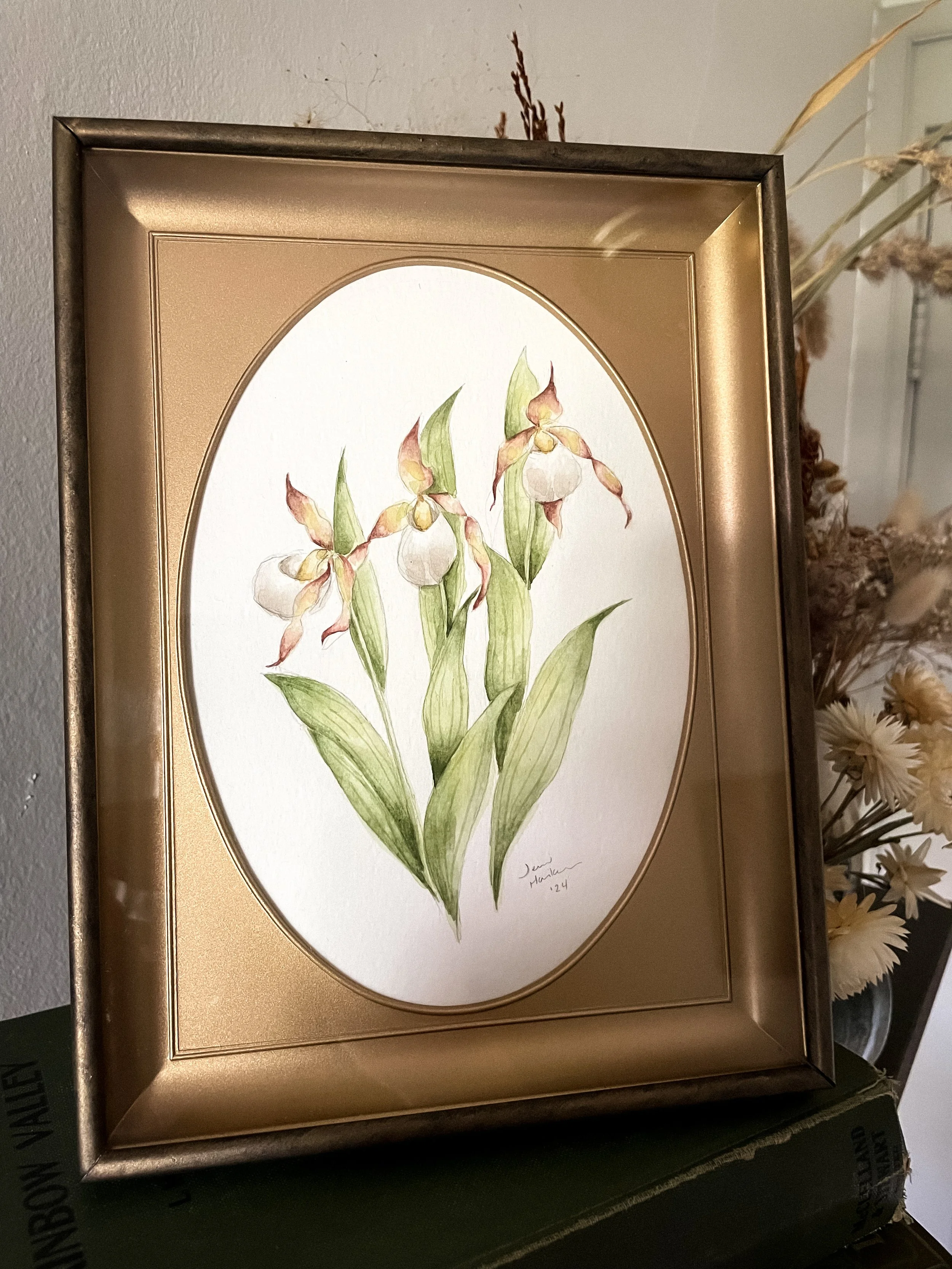 Small White LS II-3.JPG