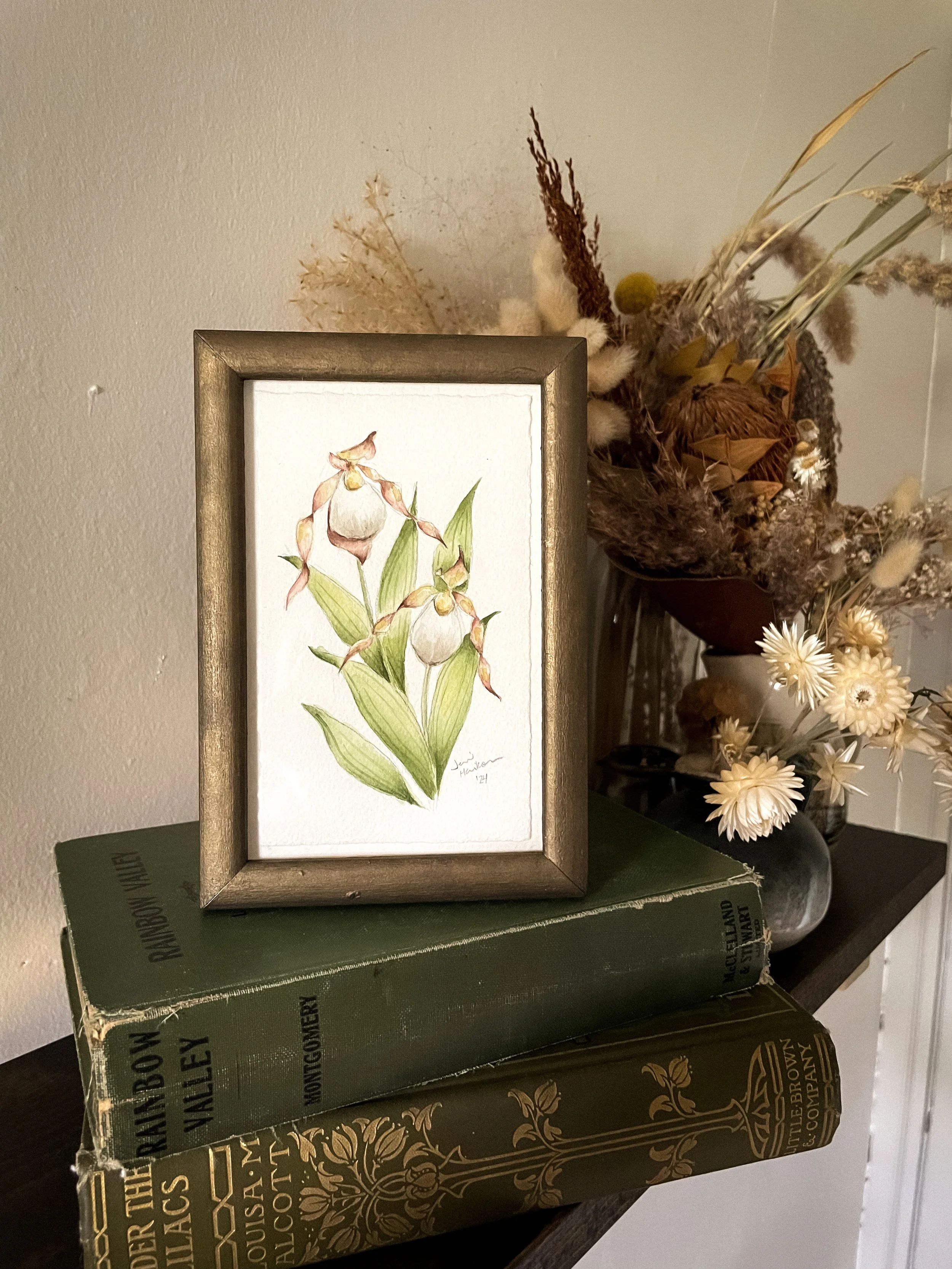 Small White Lady's Slipper IV-1.JPG