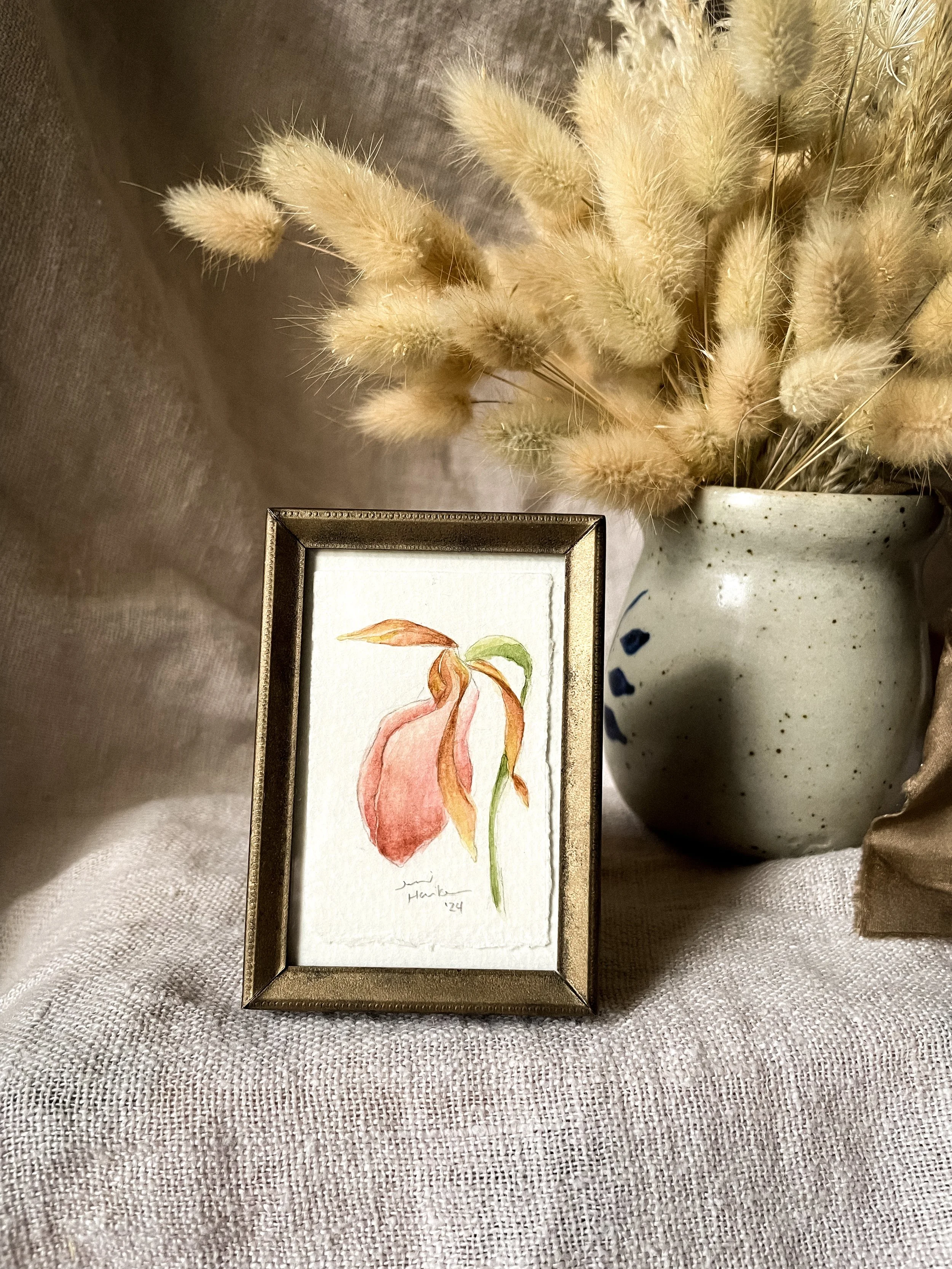 Pink Lady's Slipper III-1.JPG