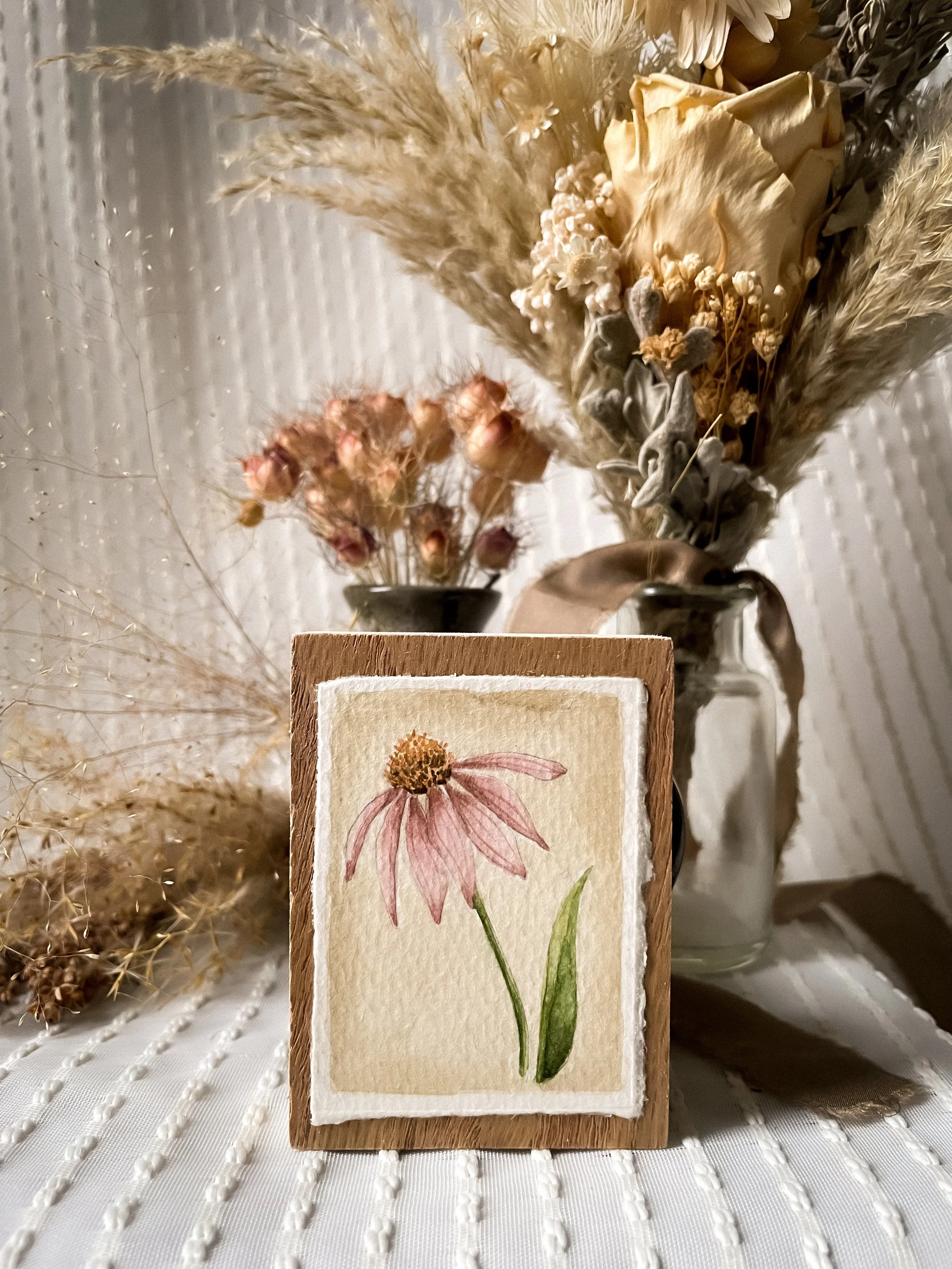 Purple Coneflower-3.JPG