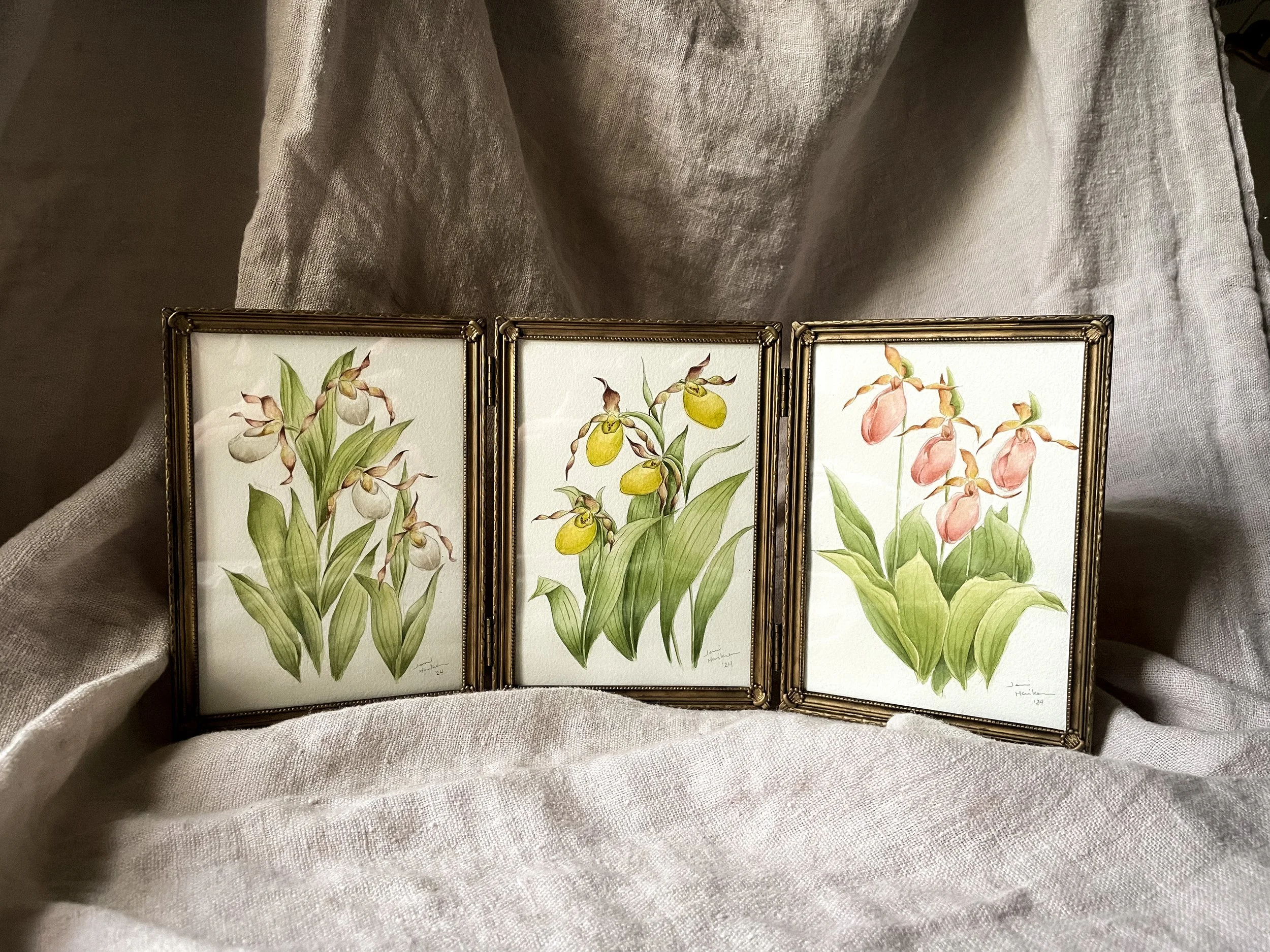 Lady's Slipper Triptych, Large-3.JPG