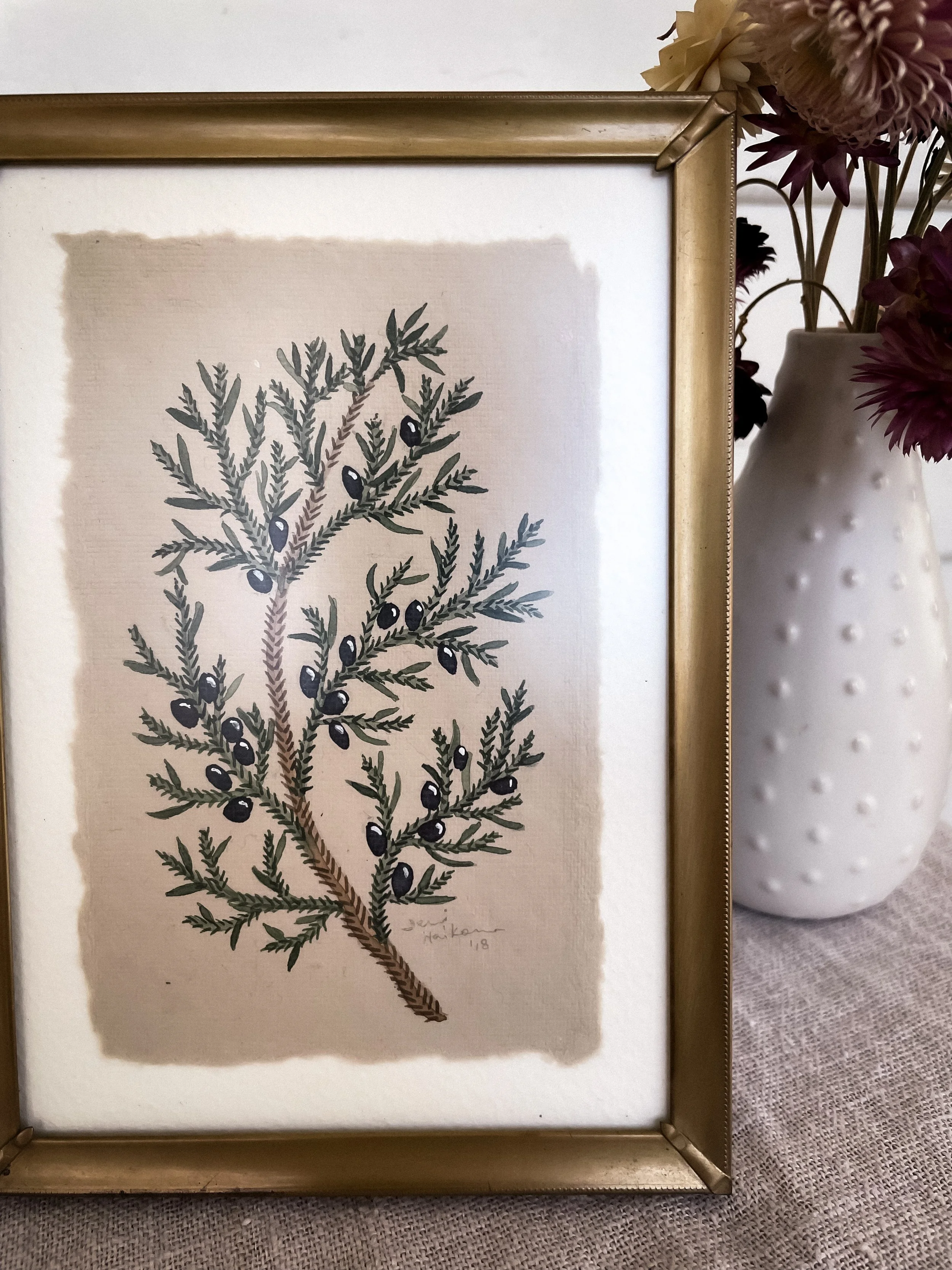 Juniper Study 6 by Jenni Haikonen 2.JPG