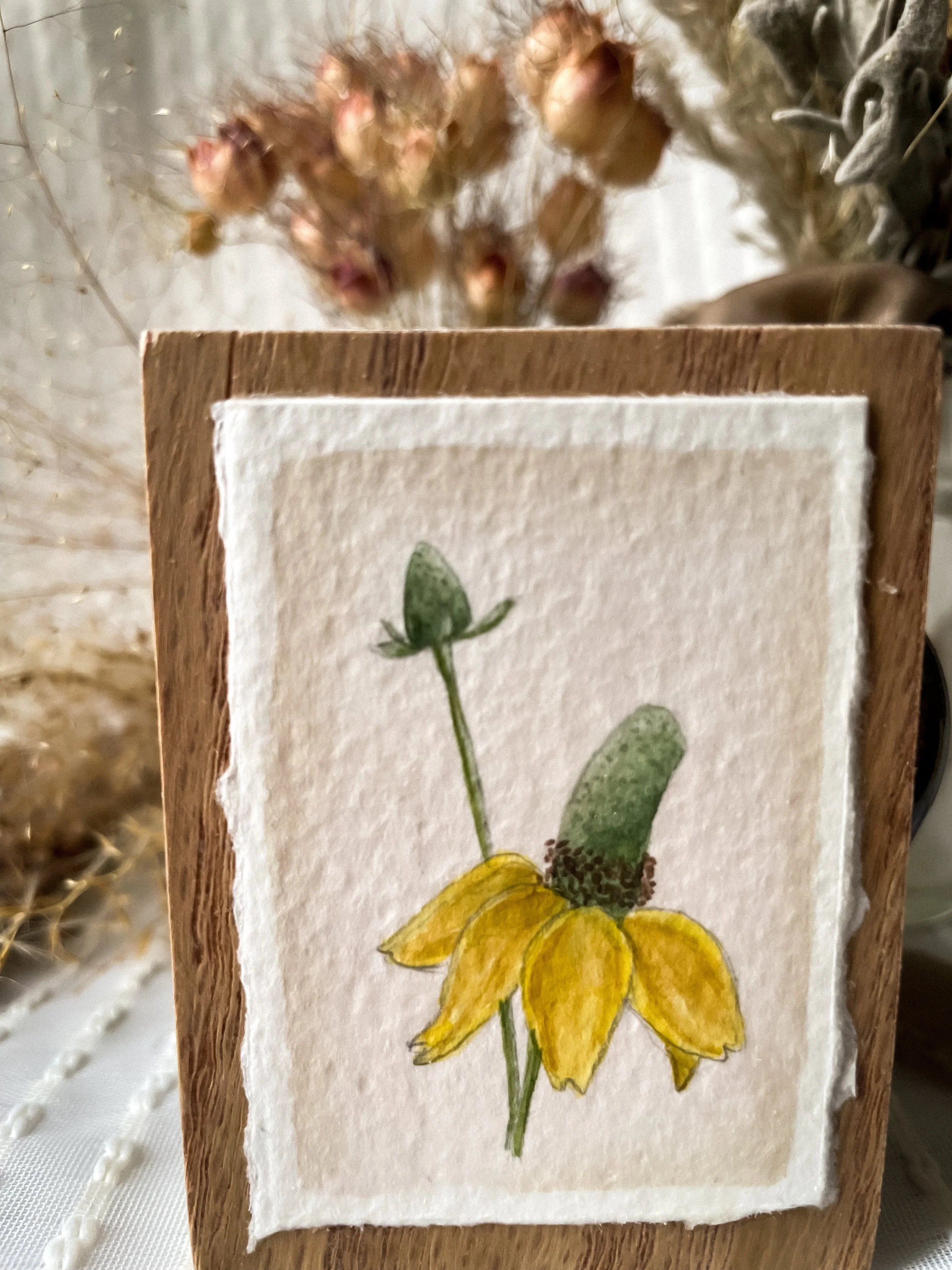 Yellow Coneflower-6.JPG