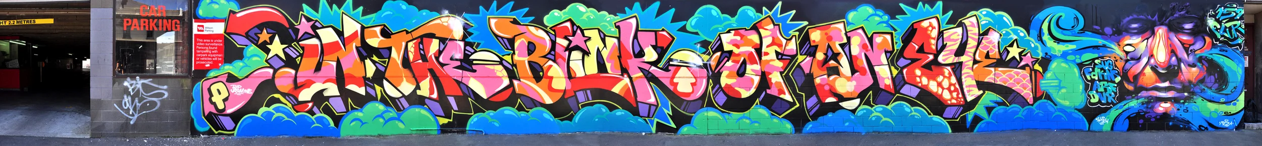FLURO, (SUG, FDKNS) WERT159, (ARF, DVR) Christchurch, New Zealand.jpg
