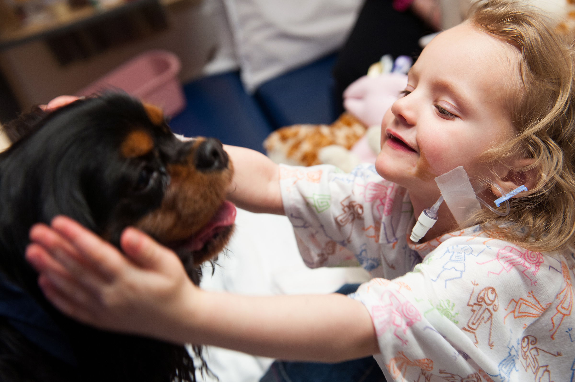 A Boston Children's Hospital patient gets a visit from Indy, a member of the Pawprints animal therapy program.
