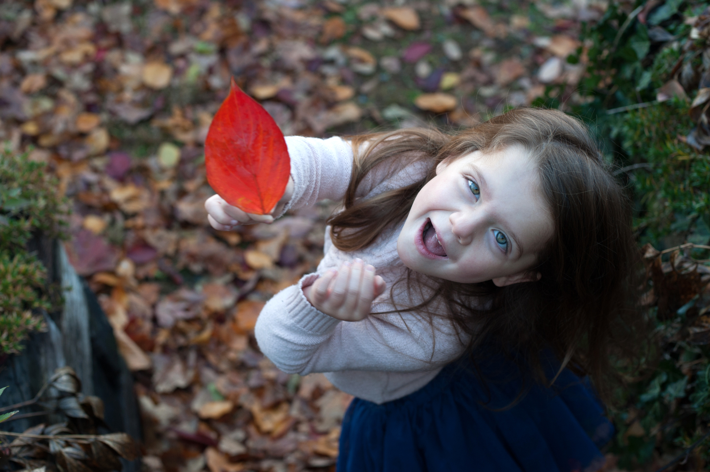 Ella, preparing to celebrate Thanksgiving at home rather than in the hospital, shows off a red leaf in her yard.