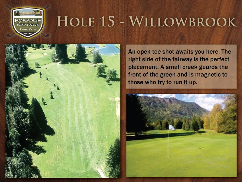 Hole-15---Willowbrook.jpg