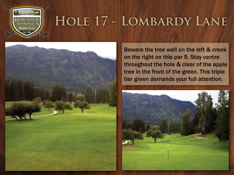 Hole-17---Lombardy-Lane.jpg