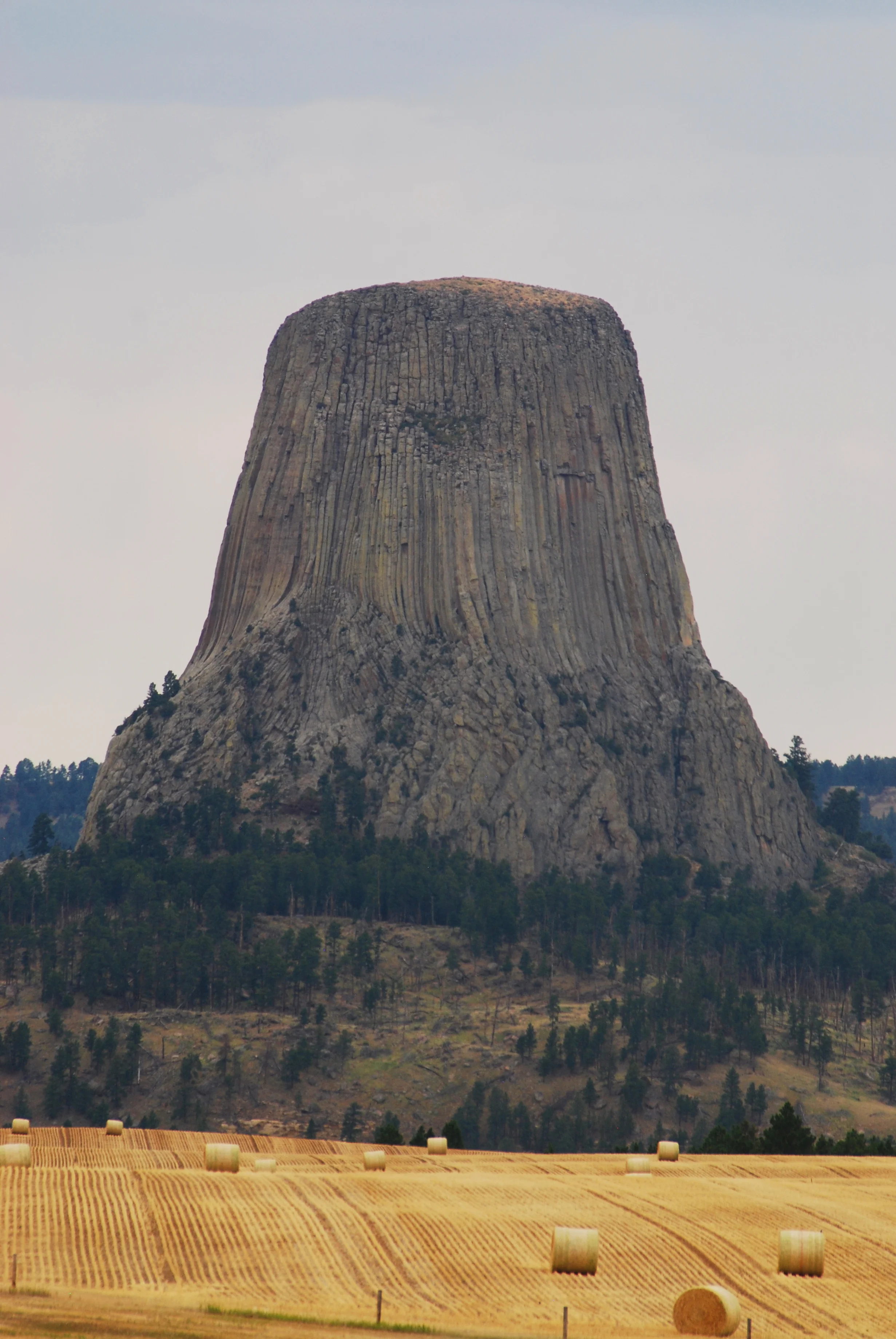 Devil's Tower