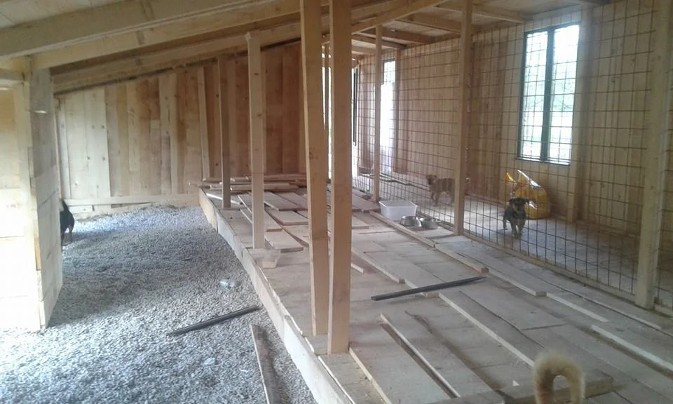 The dog house provides the dogs with a shelter from the elements, but not the cold. Every winter the house must be filled with straw for insulation.