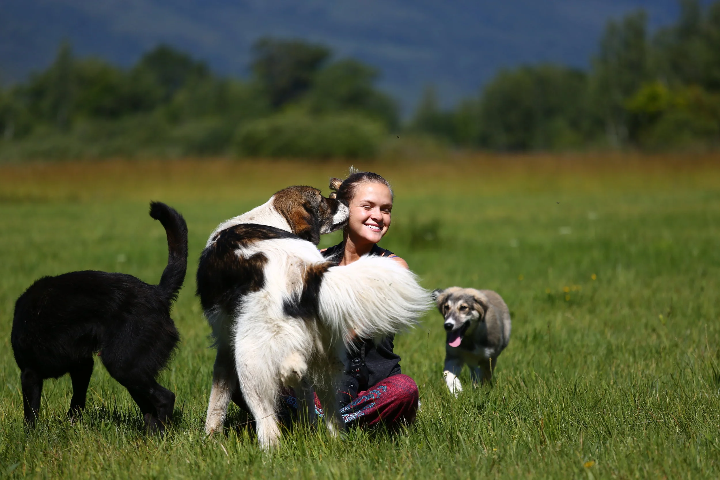 Nevena and three dogs 2.jpg