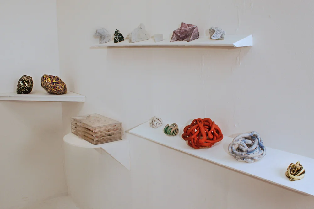 Studio Installation of Curio , 2010, Clay, acrylic and wood, various dimensions