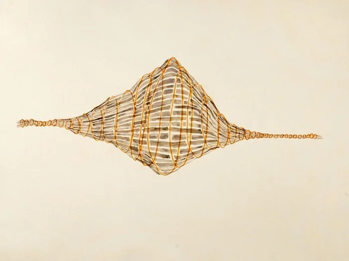 Woven Space #1, 2010, Acrylic and charcole on paper