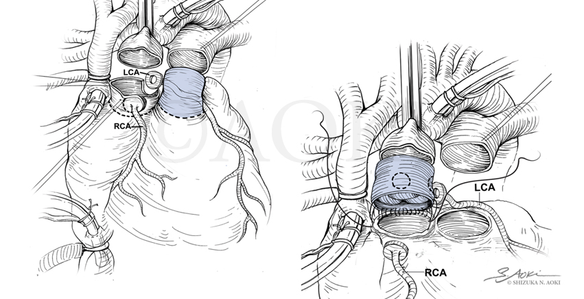 Anatomize_Homepage_Slider-2.jpg