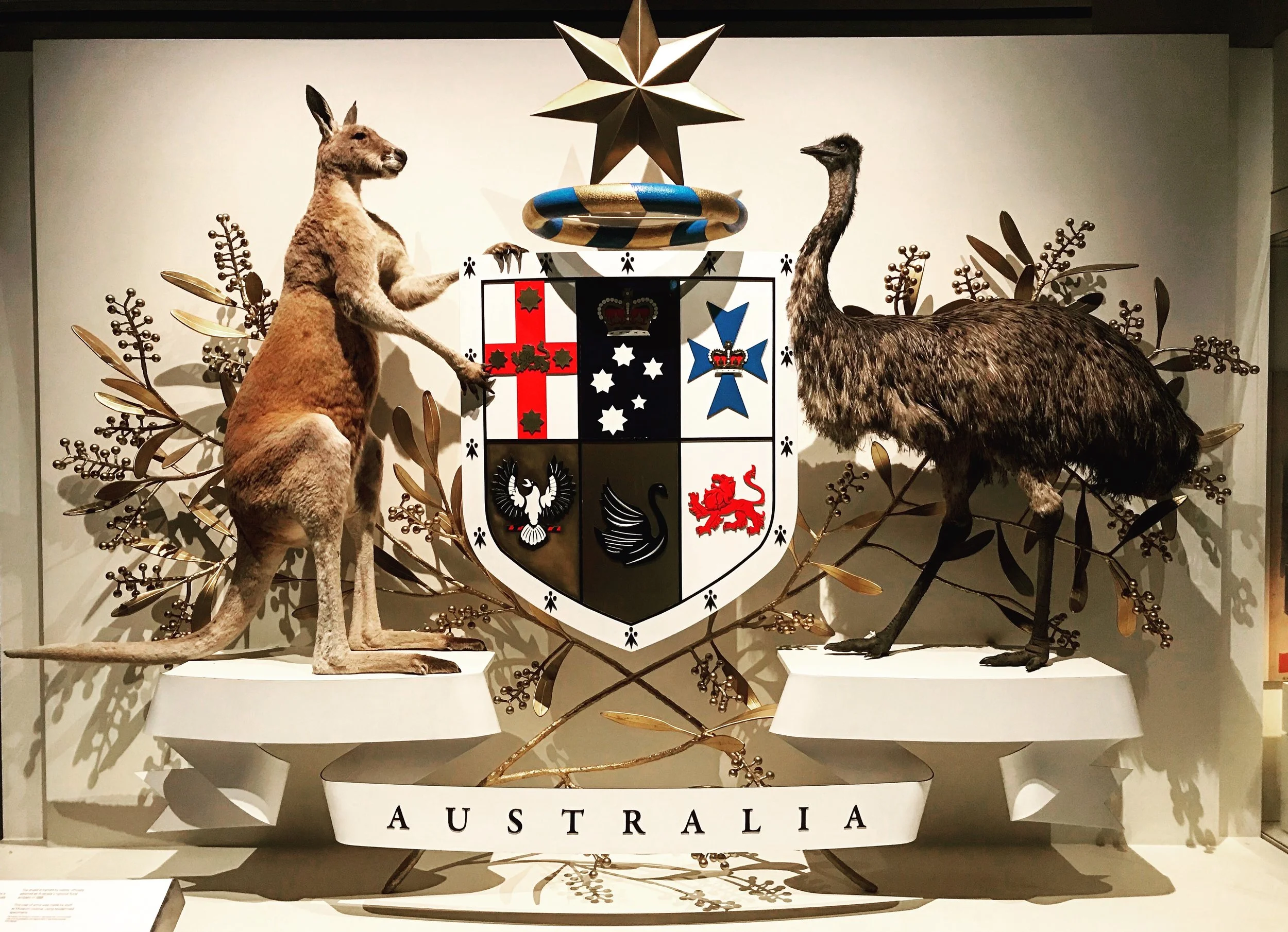 Australian coat of arms (at the Melbourne Museum)