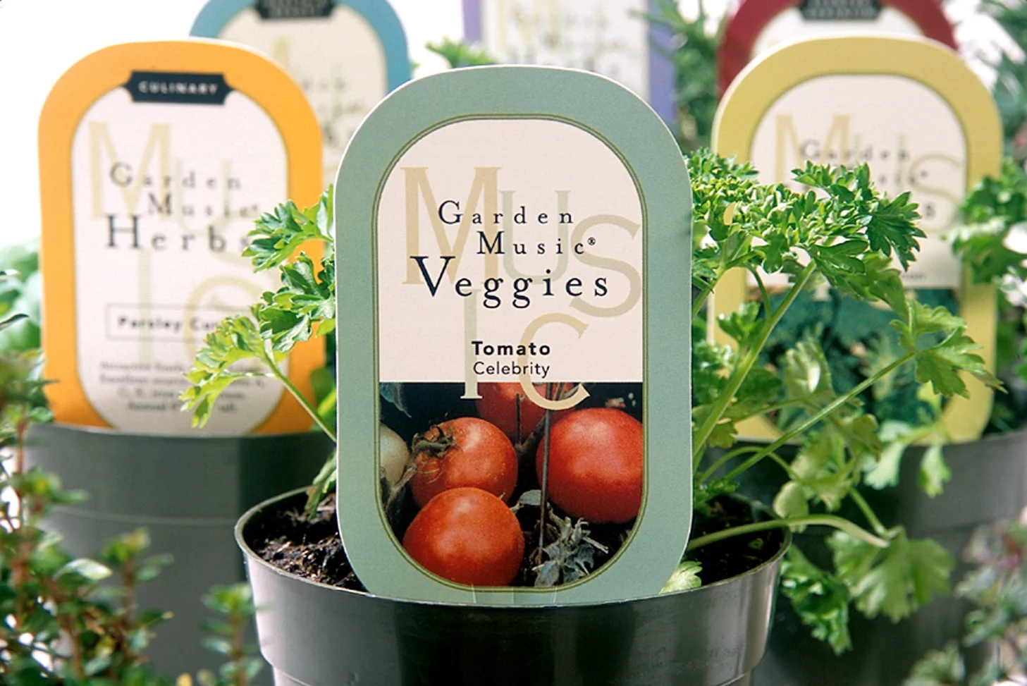 Maureen-Erbe-Design-Altman-Plants-01