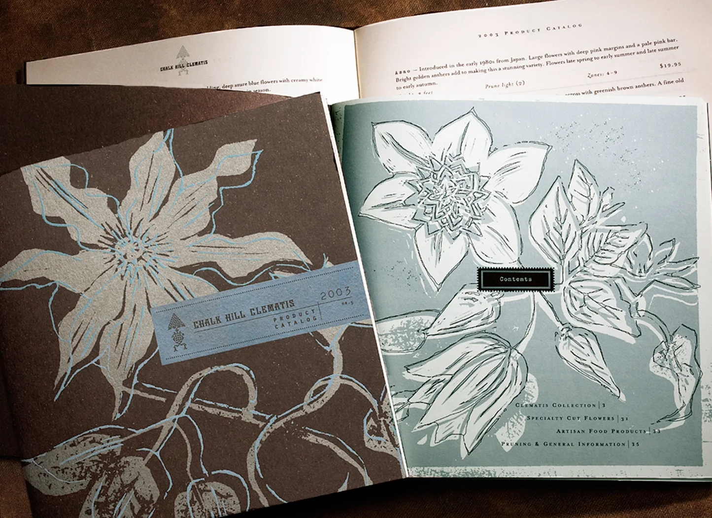 Maureen-Erbe-Design-Chalk-Hill-Clematis-02