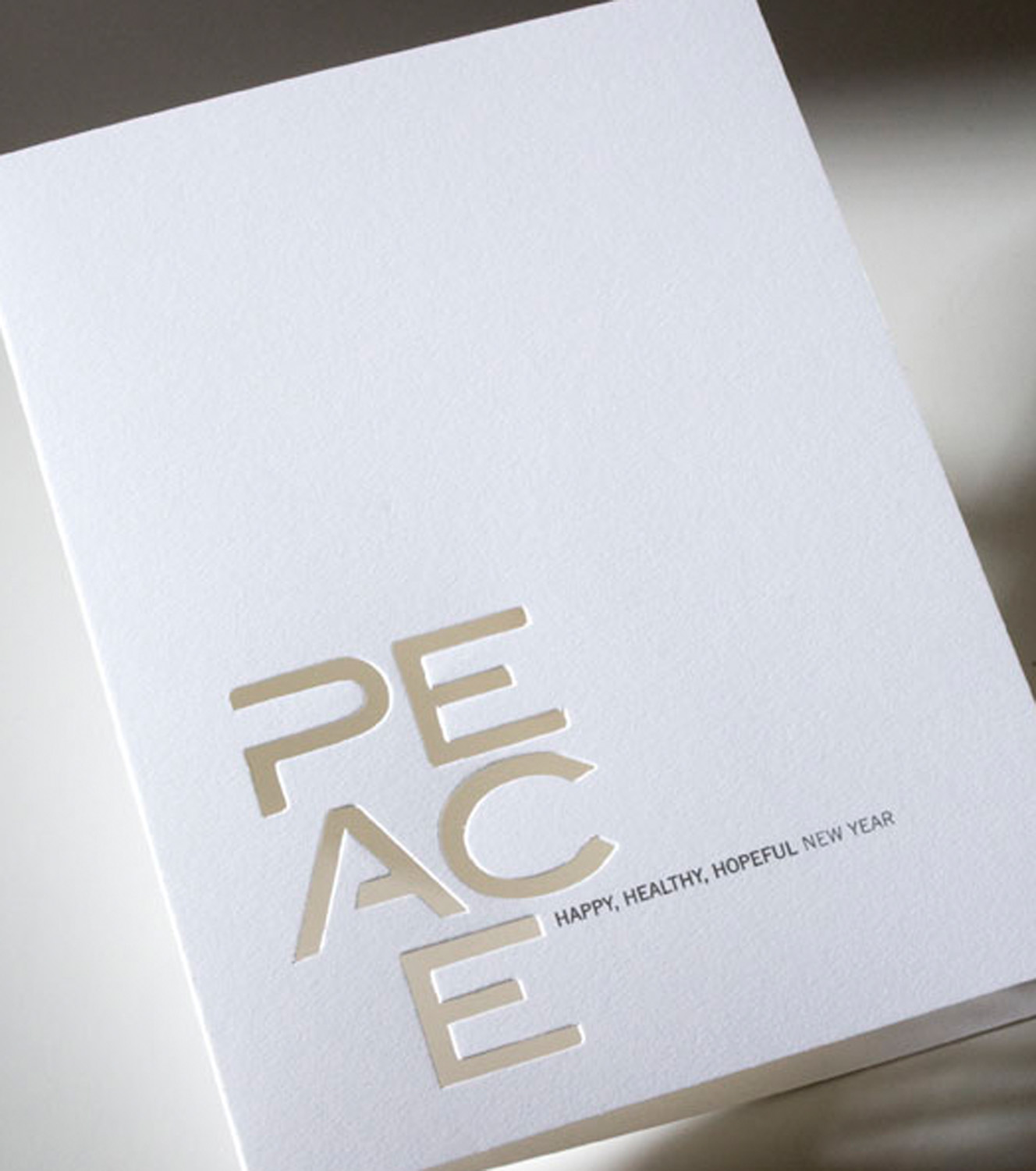 Maureen-Erbe-Design-CRA-Creative-Resource-Associates-04