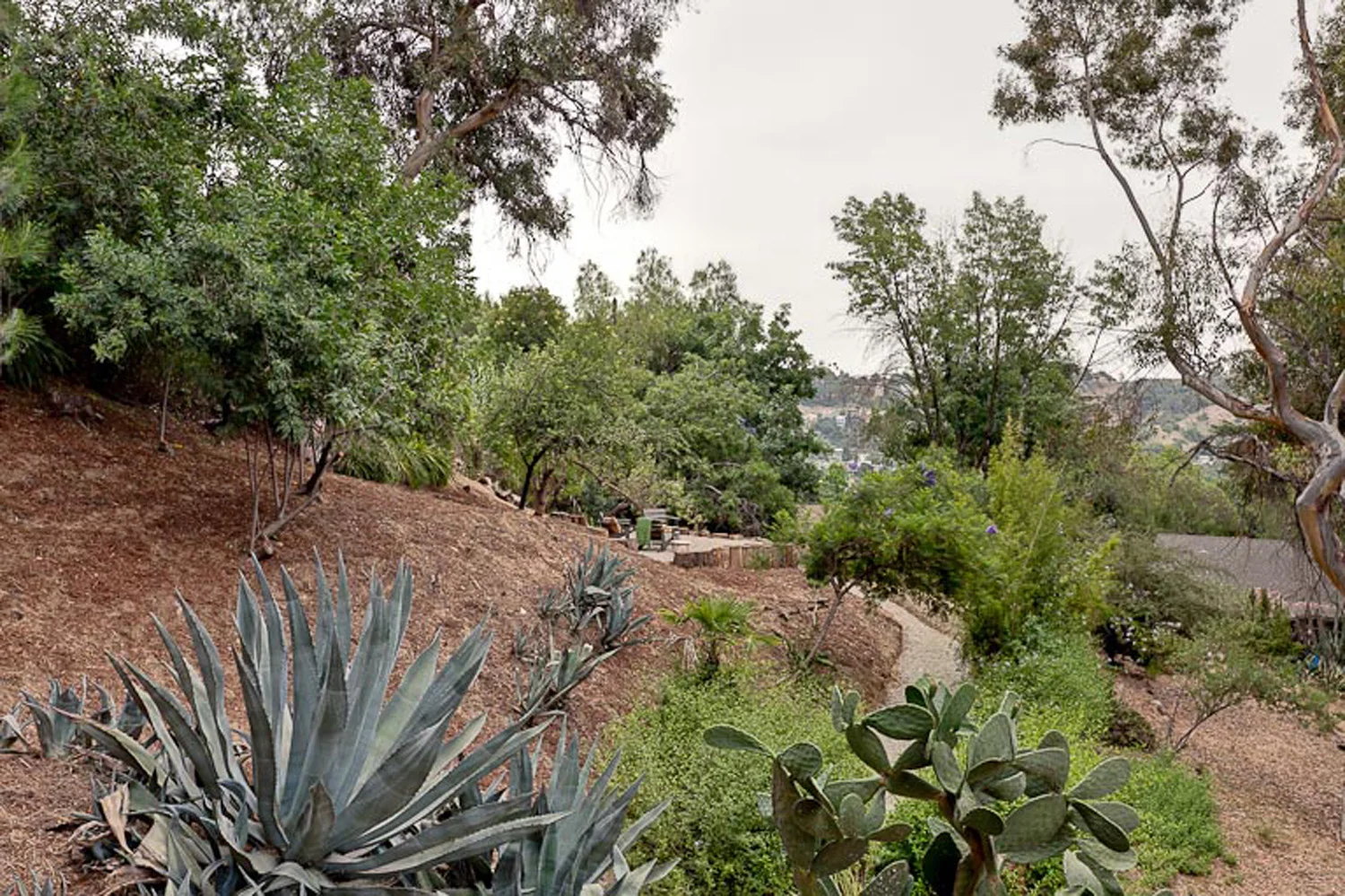 Maureen-Erbe-Design-Los-Angeles-Mid-Century-Tree-House-12