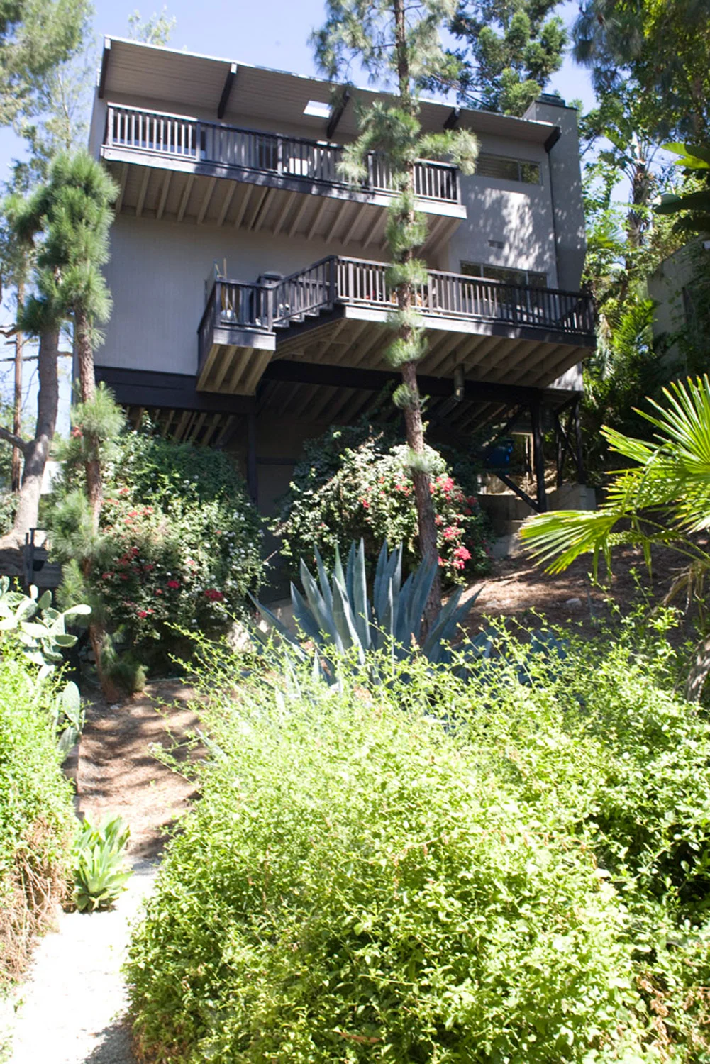 Maureen-Erbe-Design-Los-Angeles-Mid-Century-Tree-House-14
