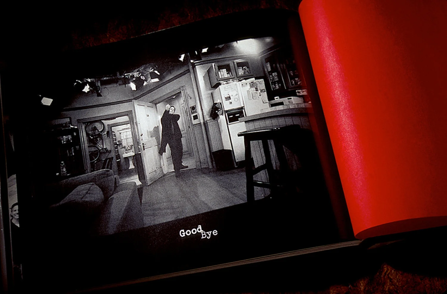 Maureen-Erbe-Design-Seinoff-Final-Days-of-Seinfeld-08