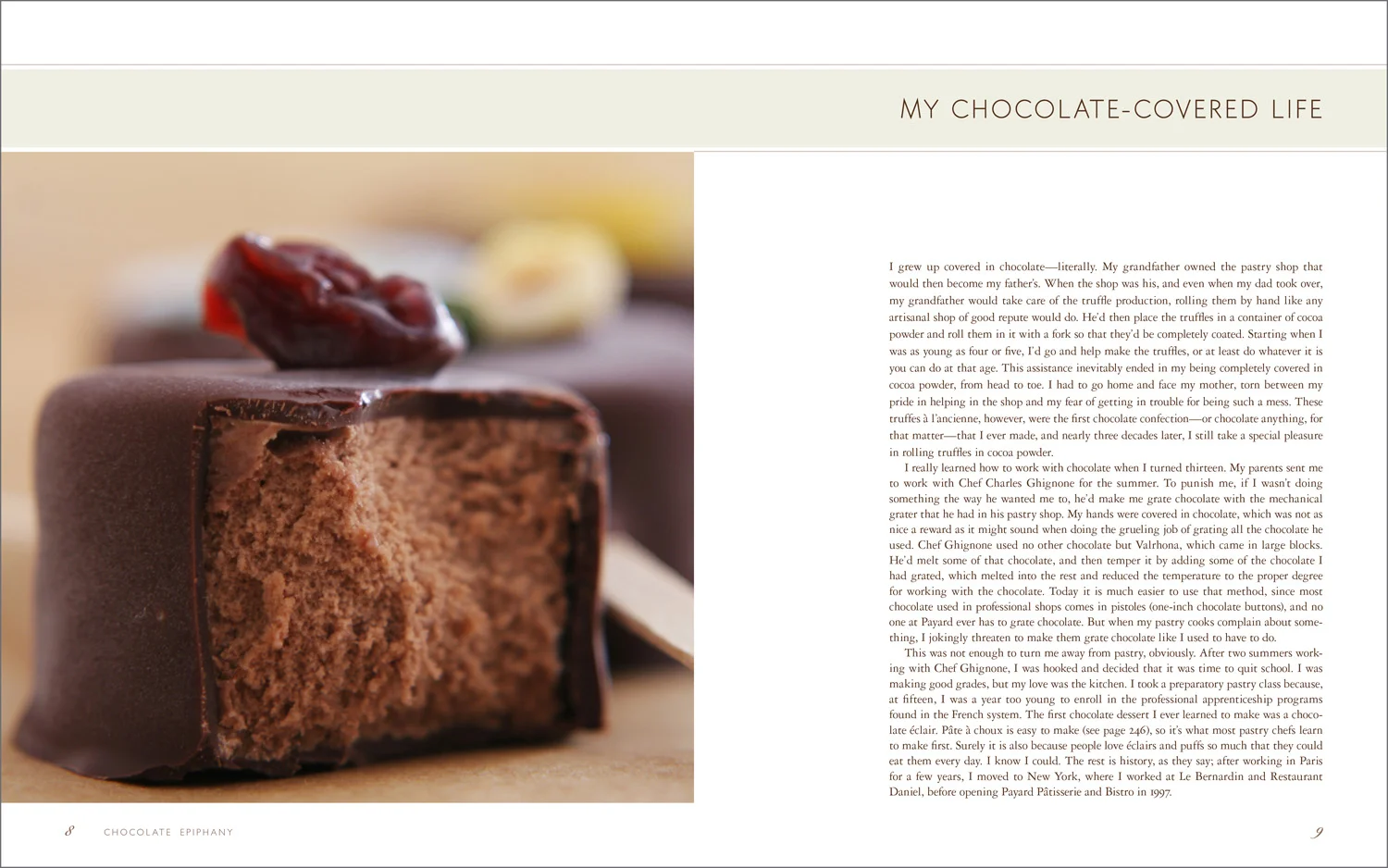 Maureen-Erbe-Design-Chocolate-Epiphany-05