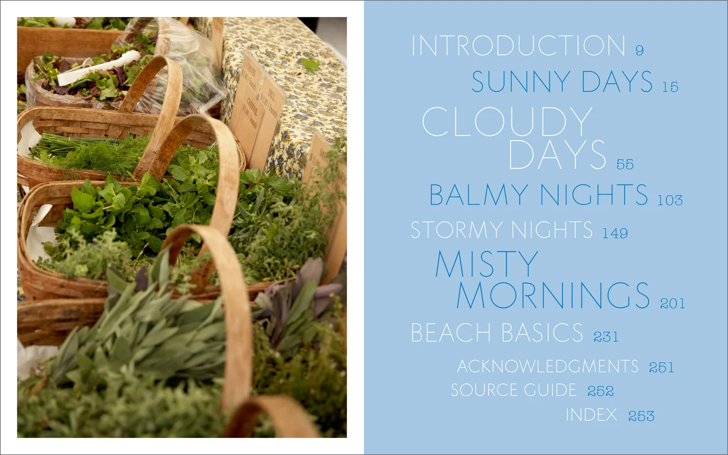 Maureen-Erbe-Design-Summertime-Anytime-Cookbook-04