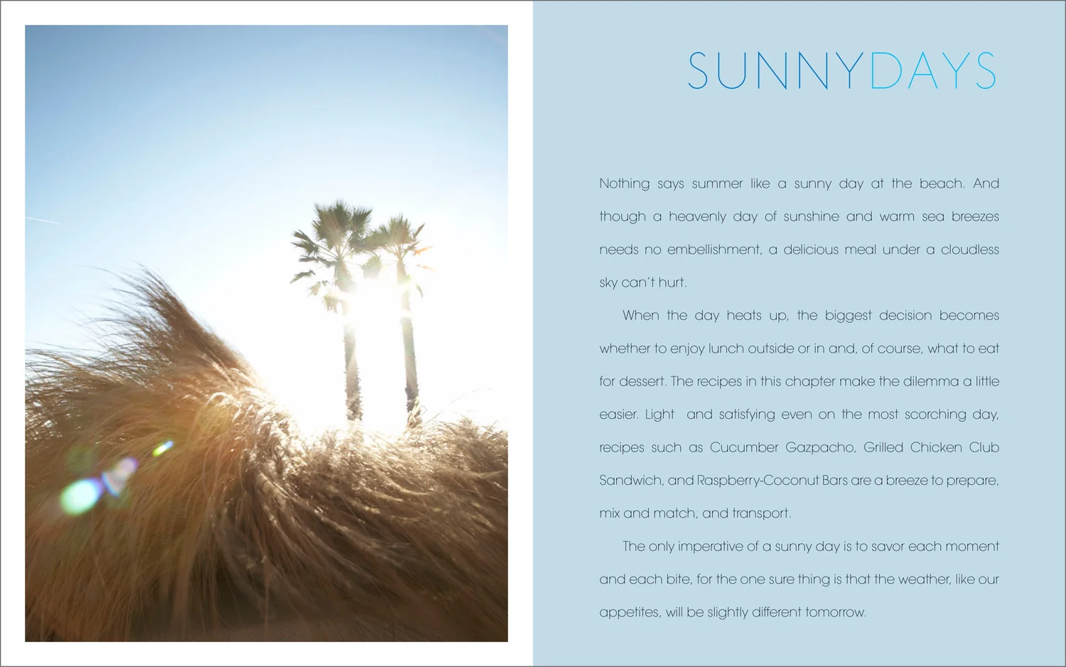   The Summertime Anytime Cookbook &nbsp;- Clarkson Potter Publishers / Book Design 