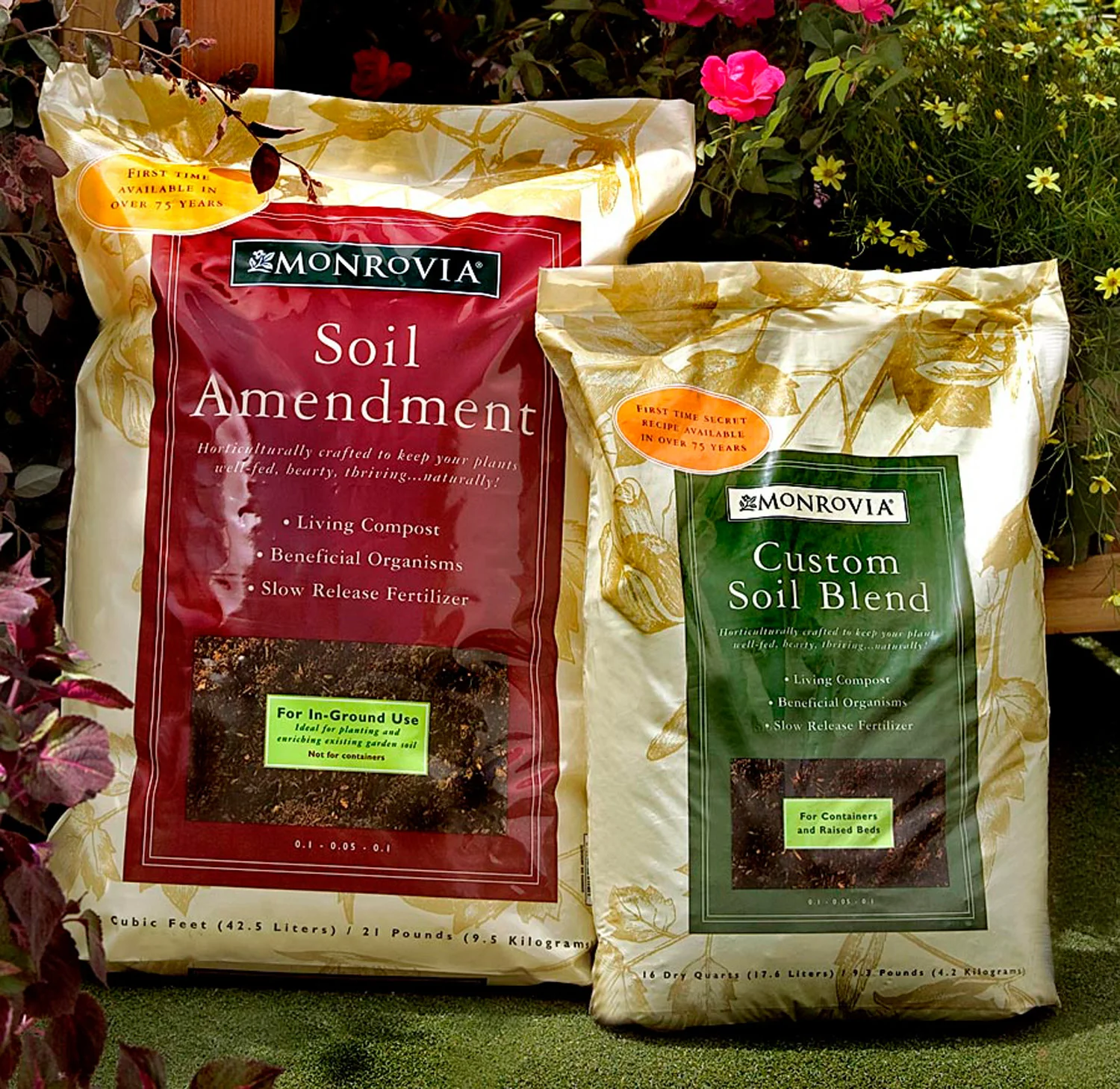 Maureen-Erbe-Design-Monrovia-Plants-22