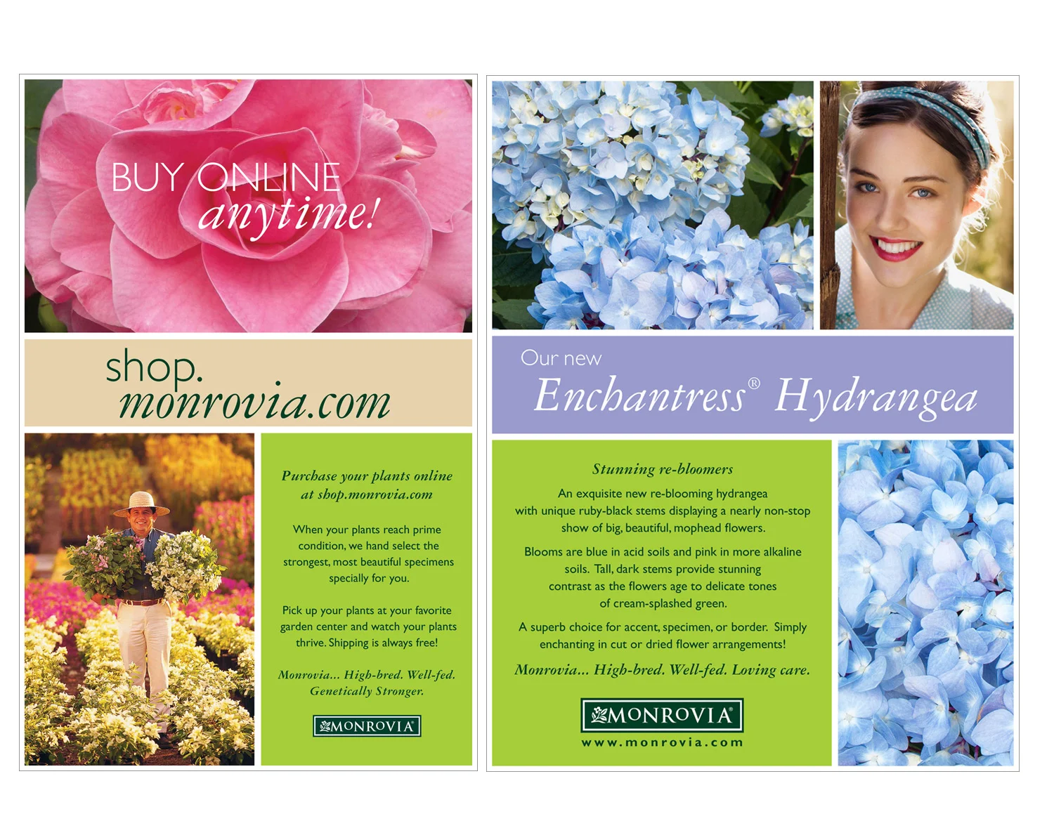 Maureen-Erbe-Design-Monrovia-Plants-05