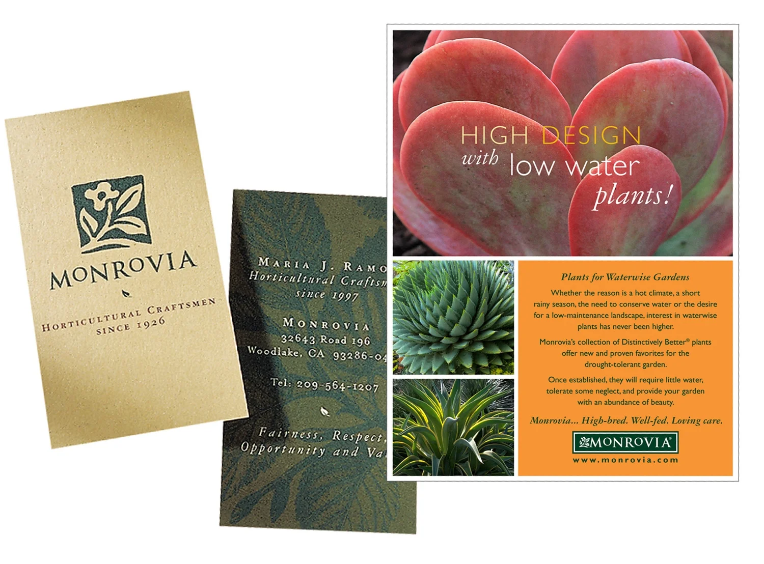 Maureen-Erbe-Design-Monrovia-Plants-04