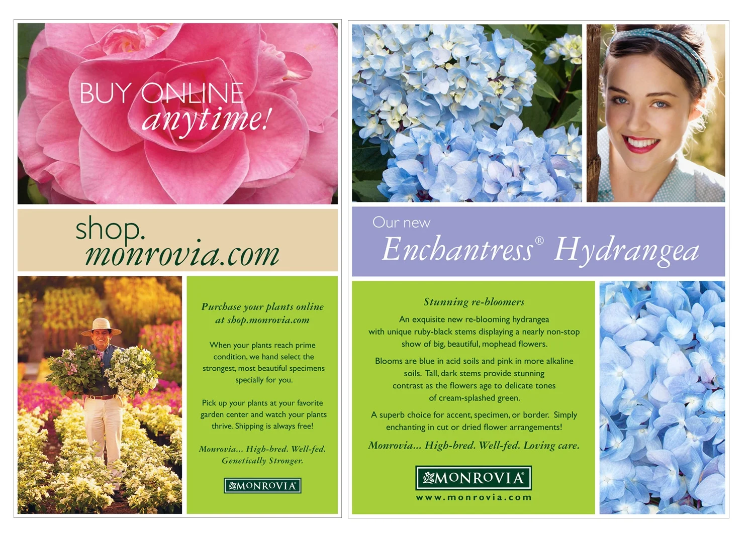 Maureen-Erbe-Design-Monrovia-Plants-07