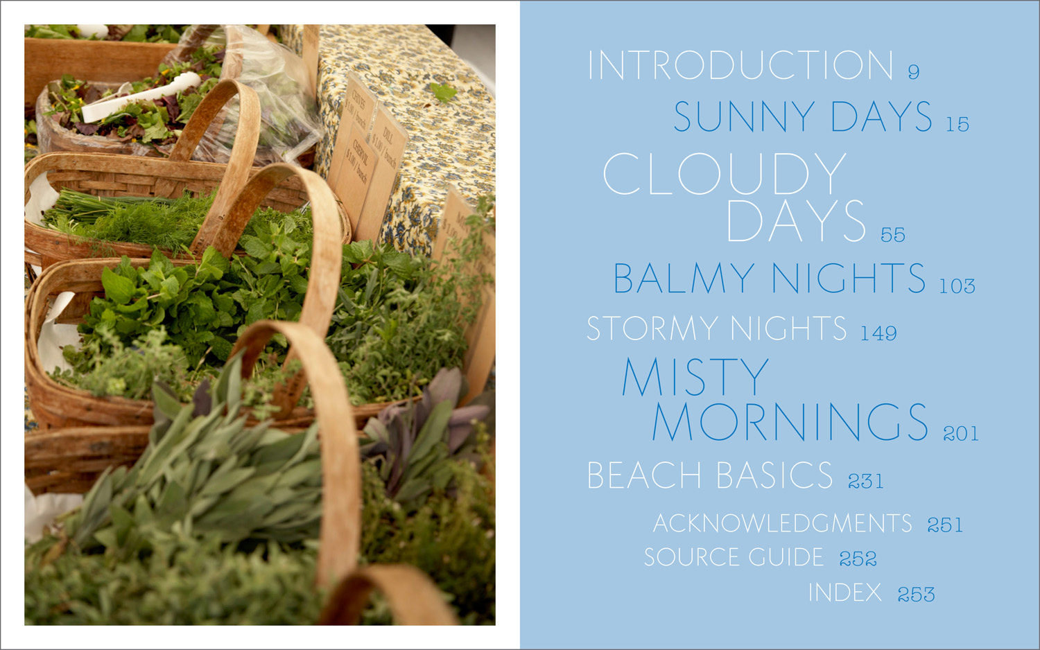 Maureen-Erbe-Design-The-Summertime-Anytime-Cookbook-04