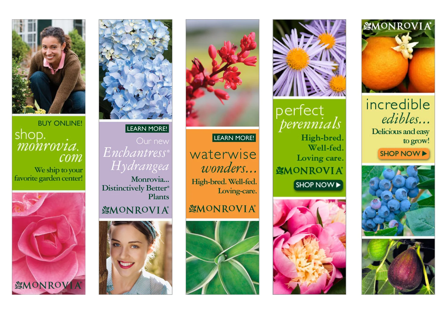 Maureen-Erbe-Design-Monrovia-Plants-07