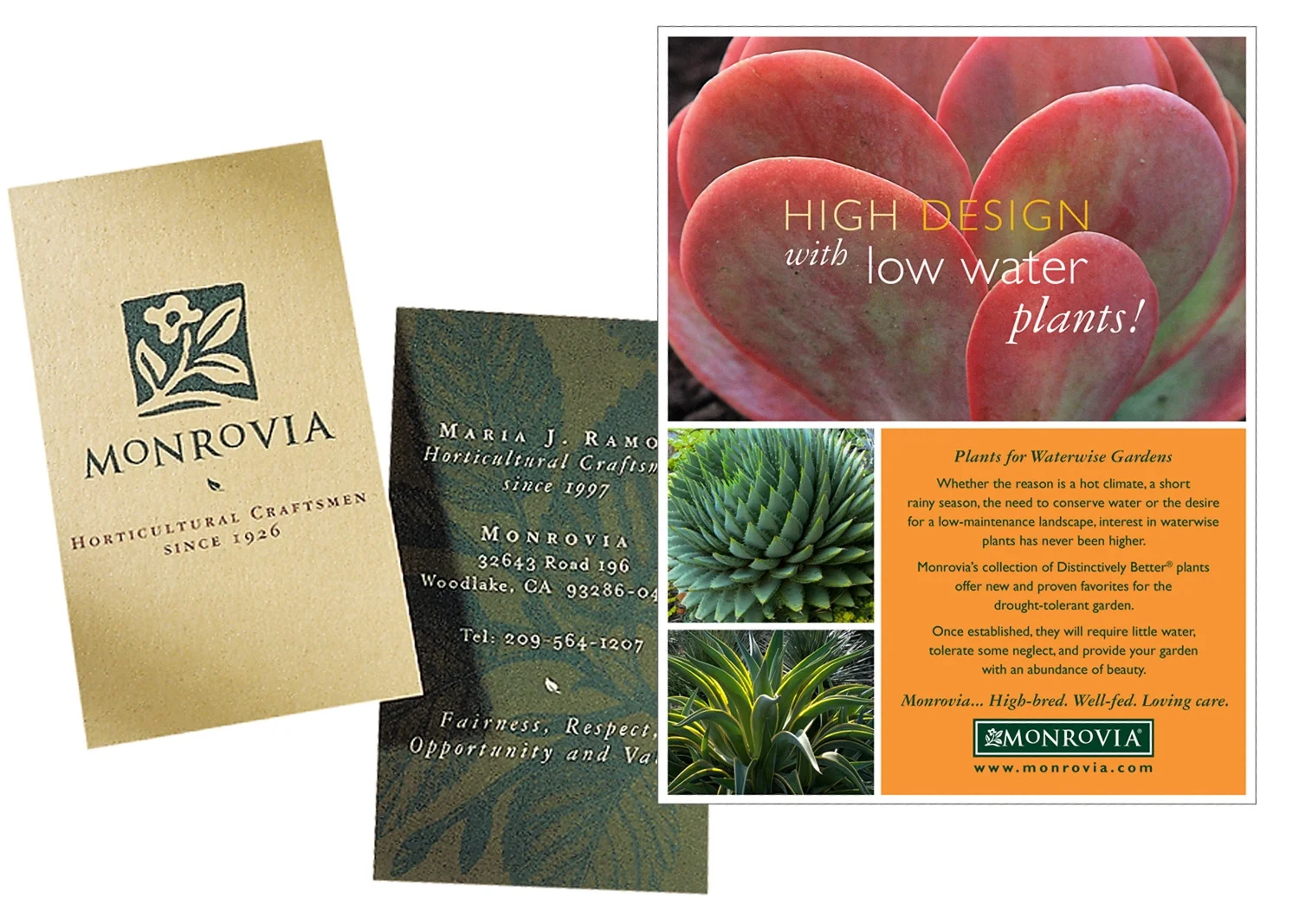 Maureen-Erbe-Design-Monrovia-Plants-05