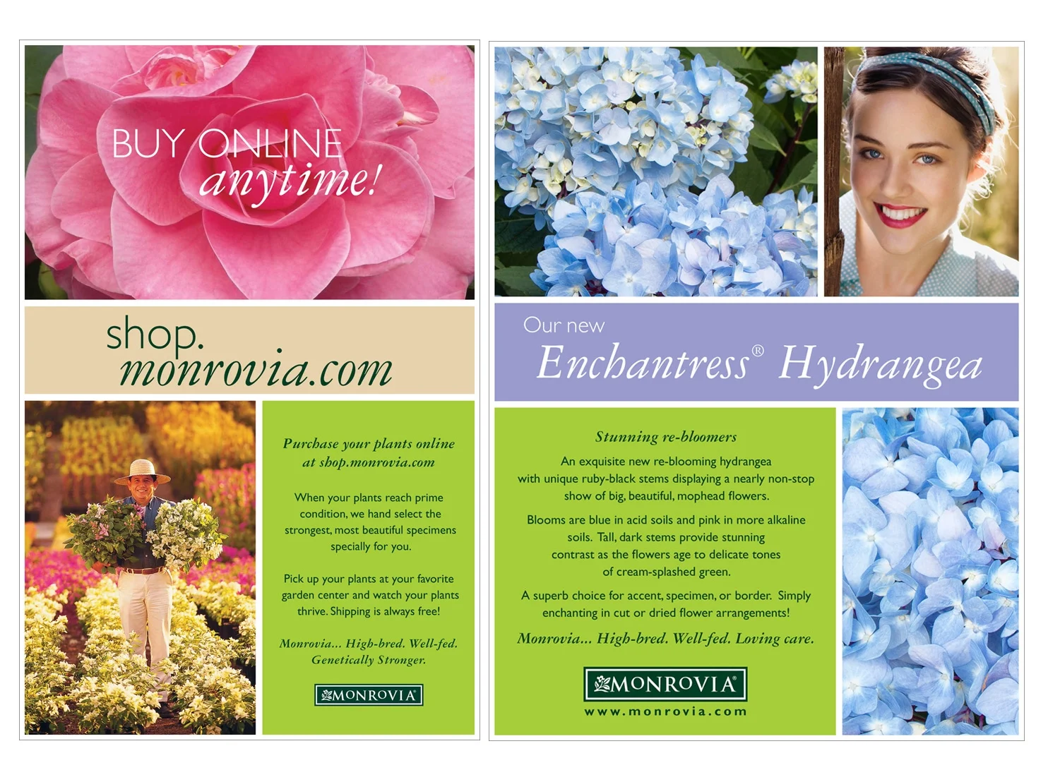 Maureen-Erbe-Design-Monrovia-Plants-06