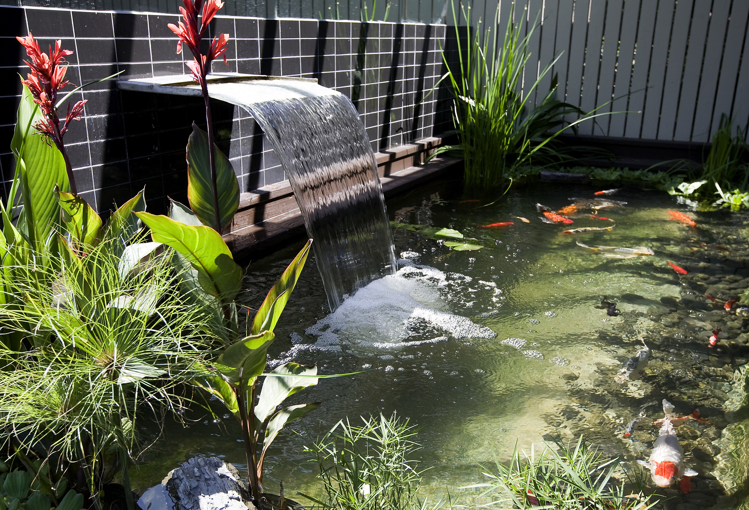 30_Pond_3979_01.jpg