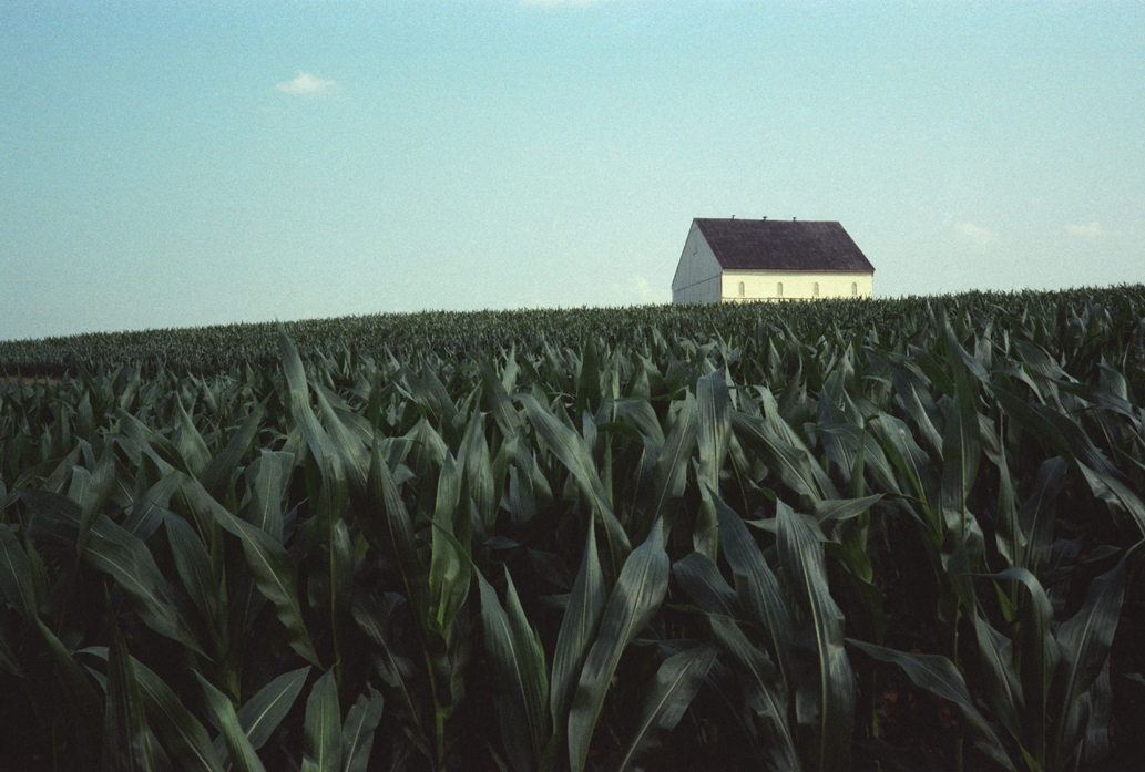 Cornprint.jpg