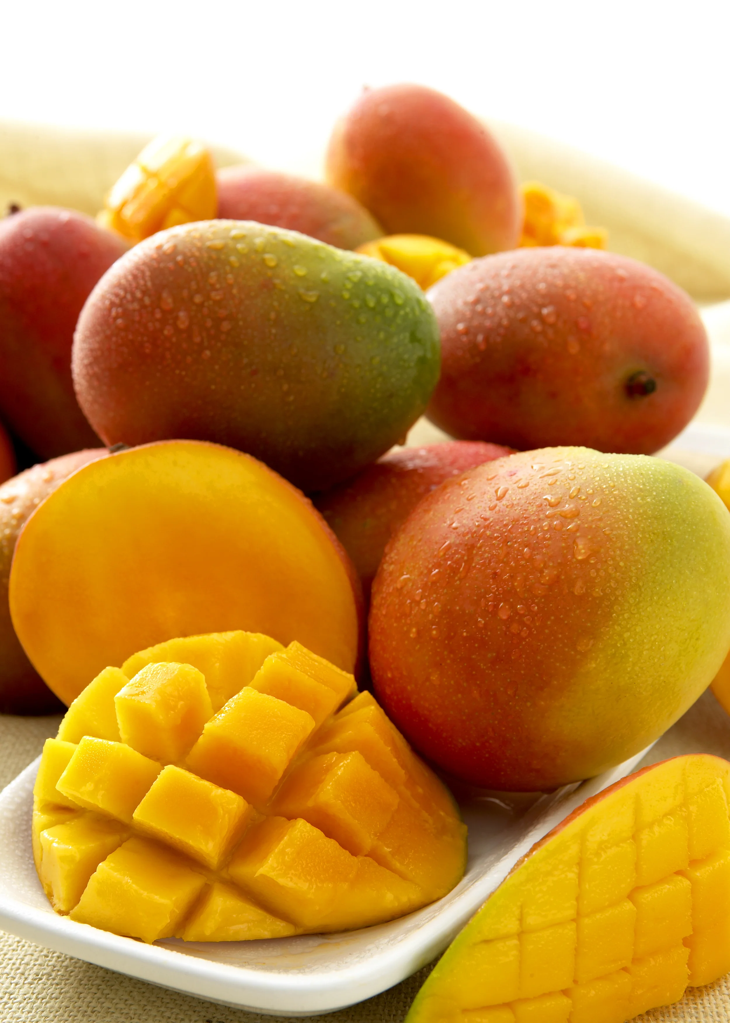 keitt_mangoes_pos_%232.jpg