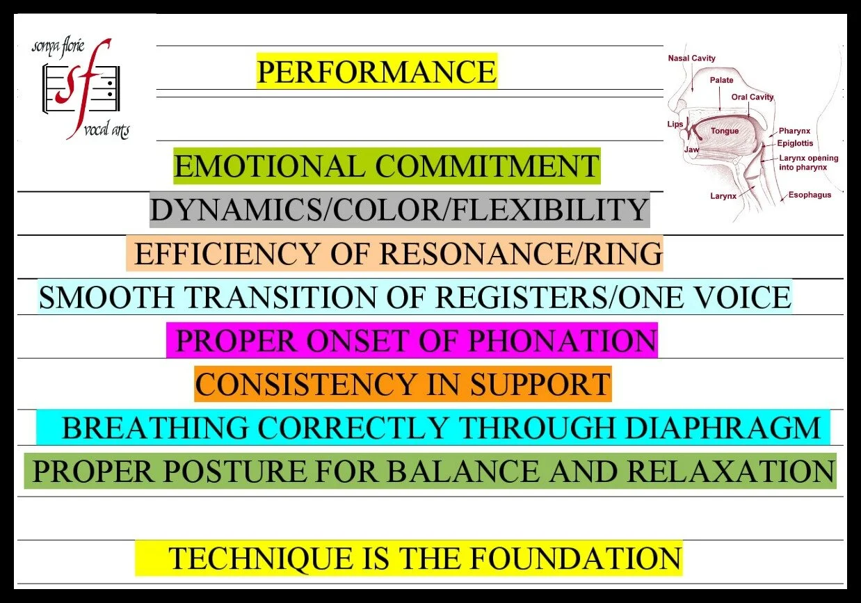 Control Vocal Mastering Vocal Techniques:Enhance your singing across all genres