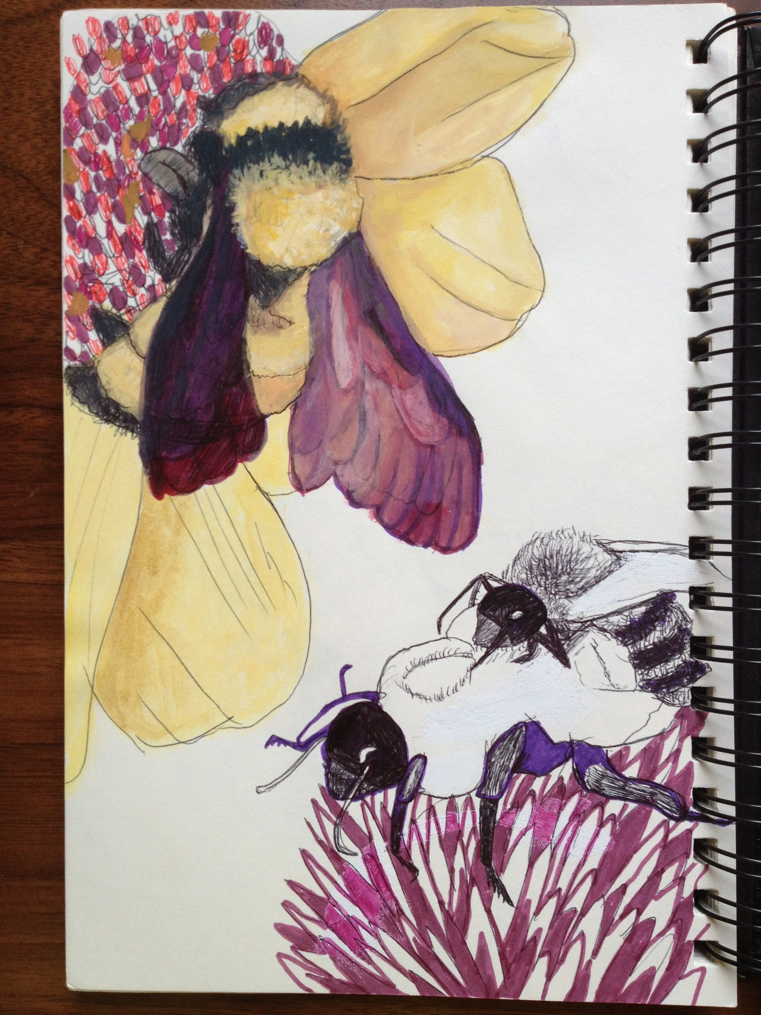 Sketchbook Image 4