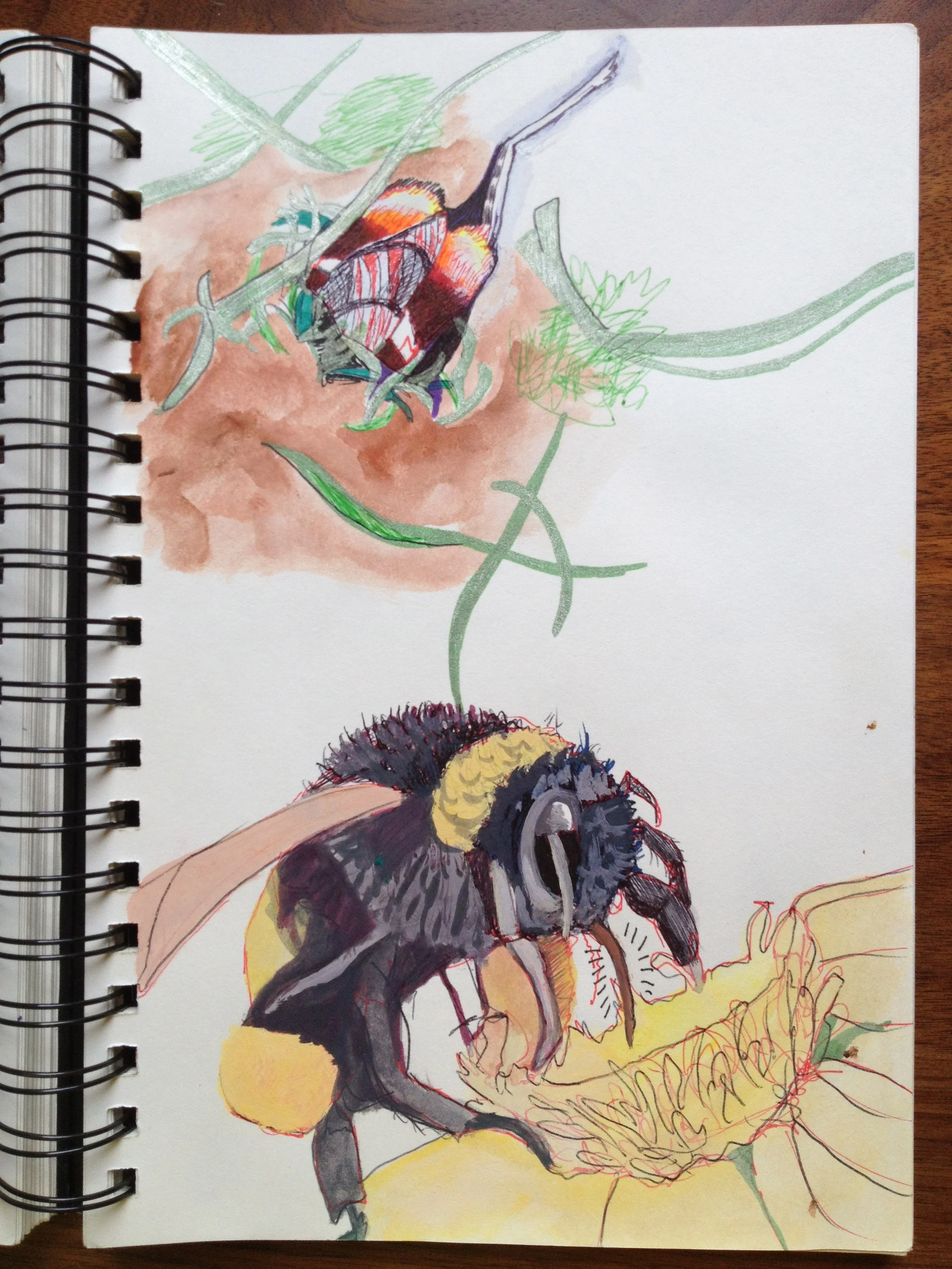 Sketchbook Image 5