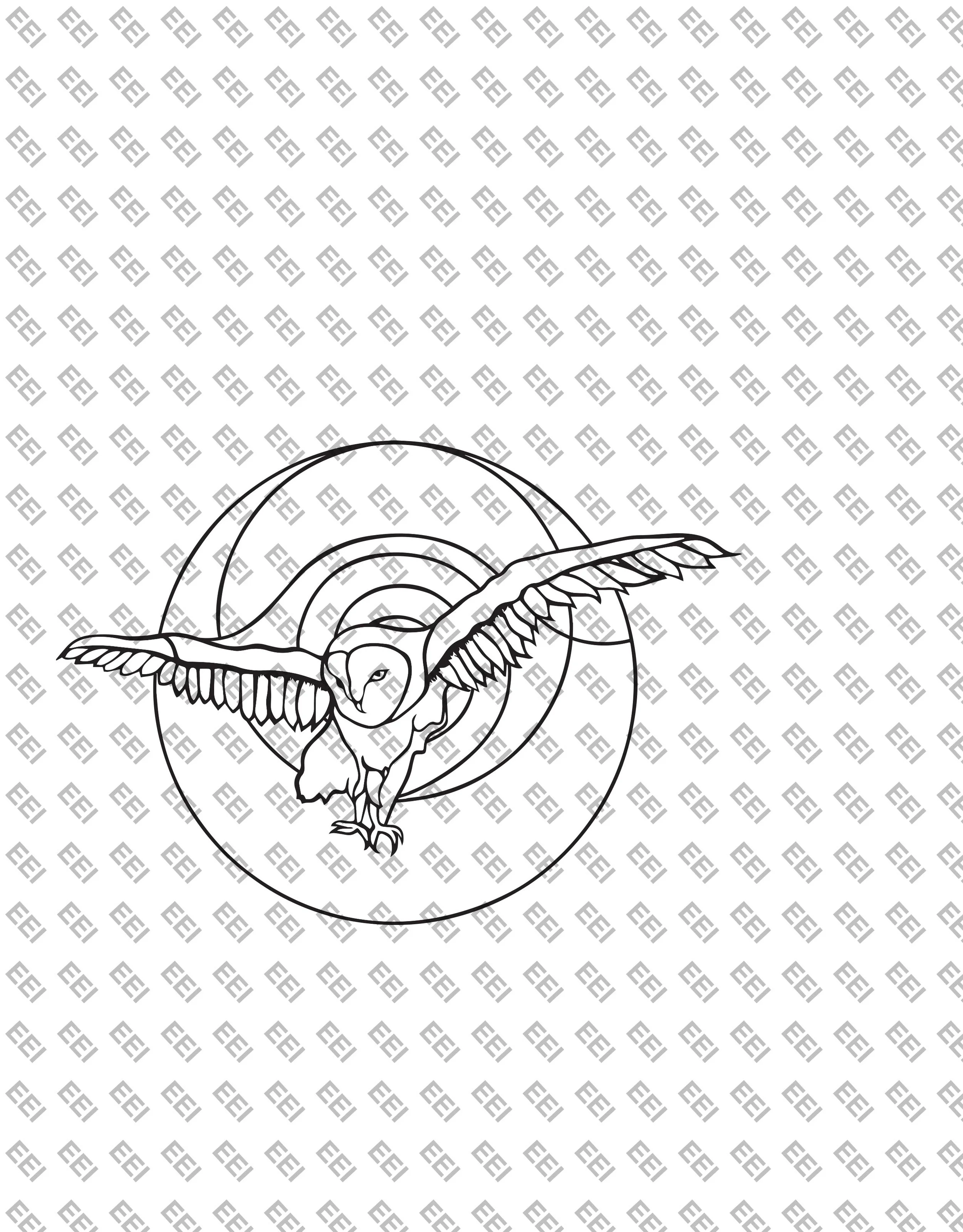 Owl Logo Design