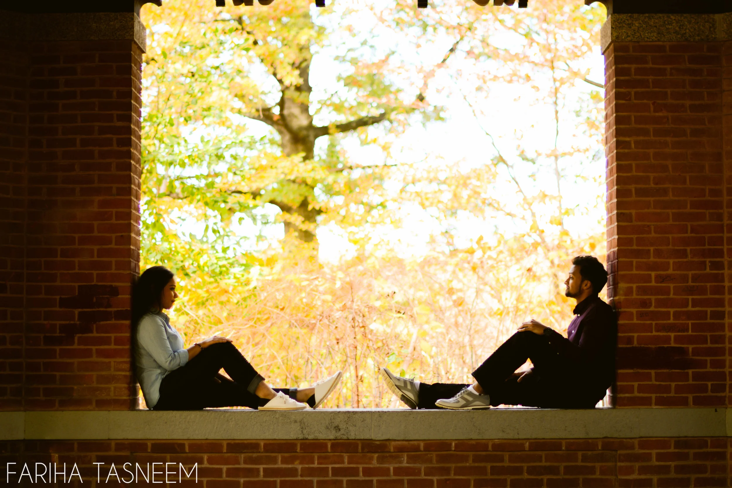 Falling into Fall